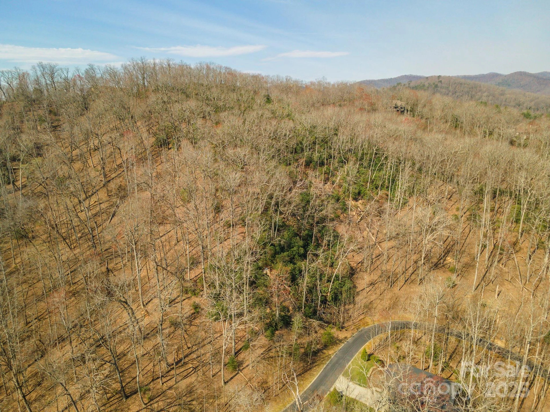 0 Shining Rock Path #12 - Photo 6