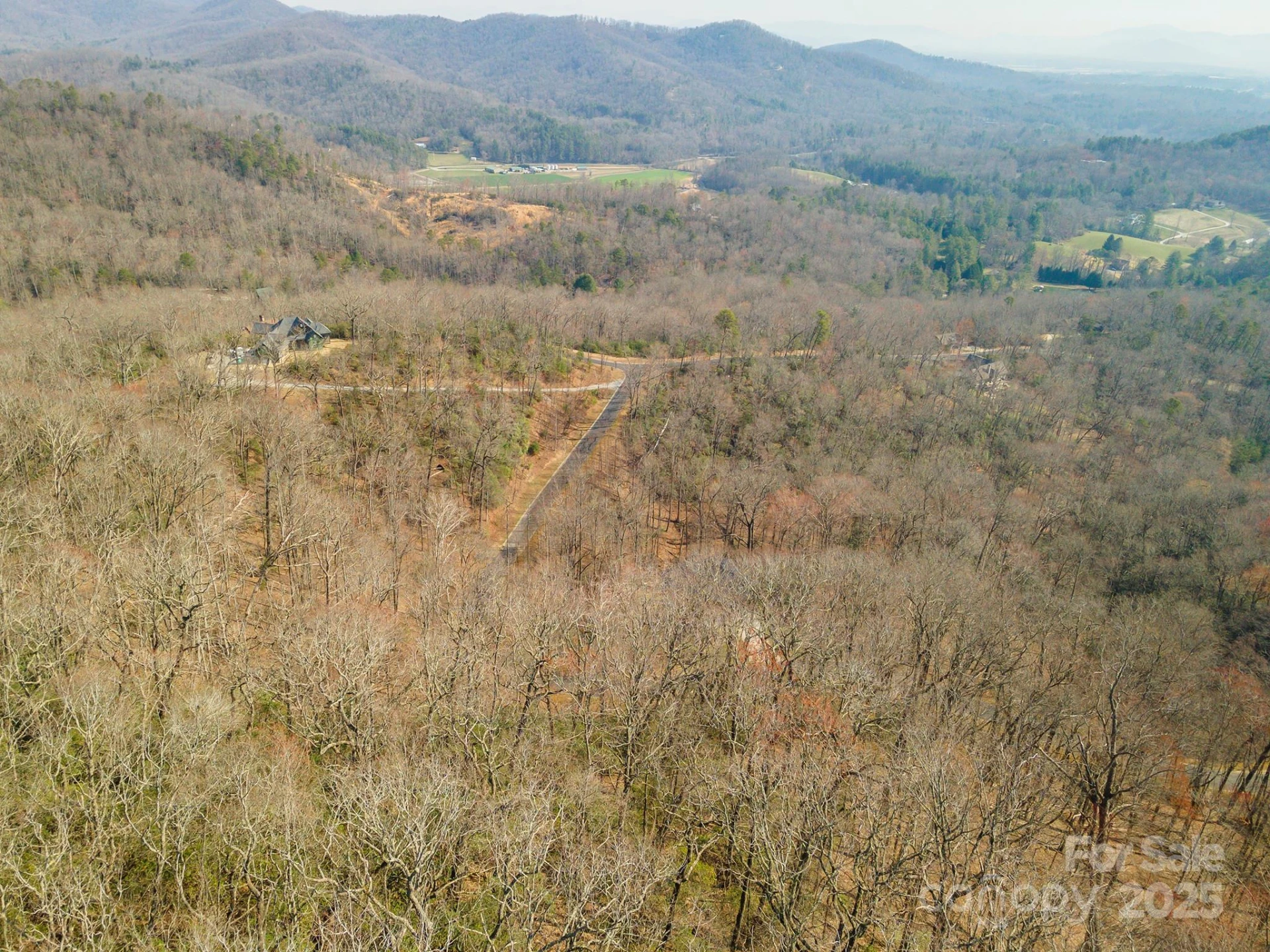 0 Shining Rock Path #12 - Photo 8