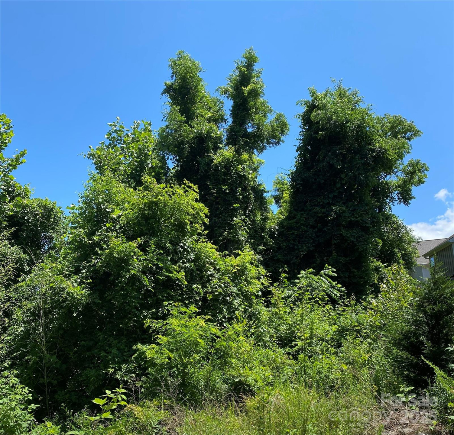 7 Shakedown Street #21 - Photo 8