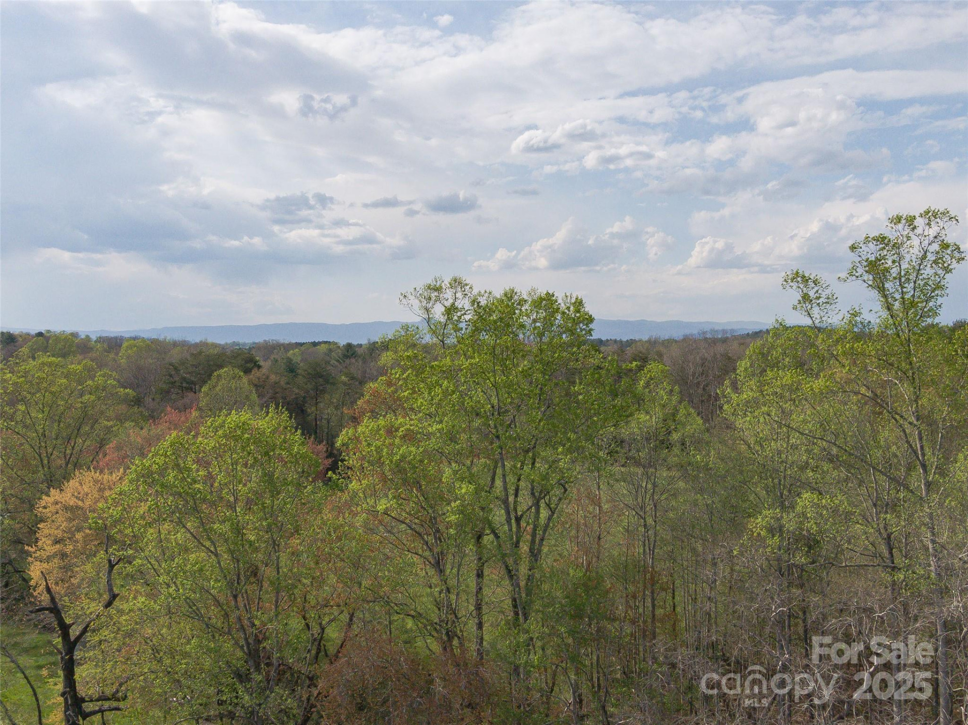 2088 Winds Avenue - Photo 13