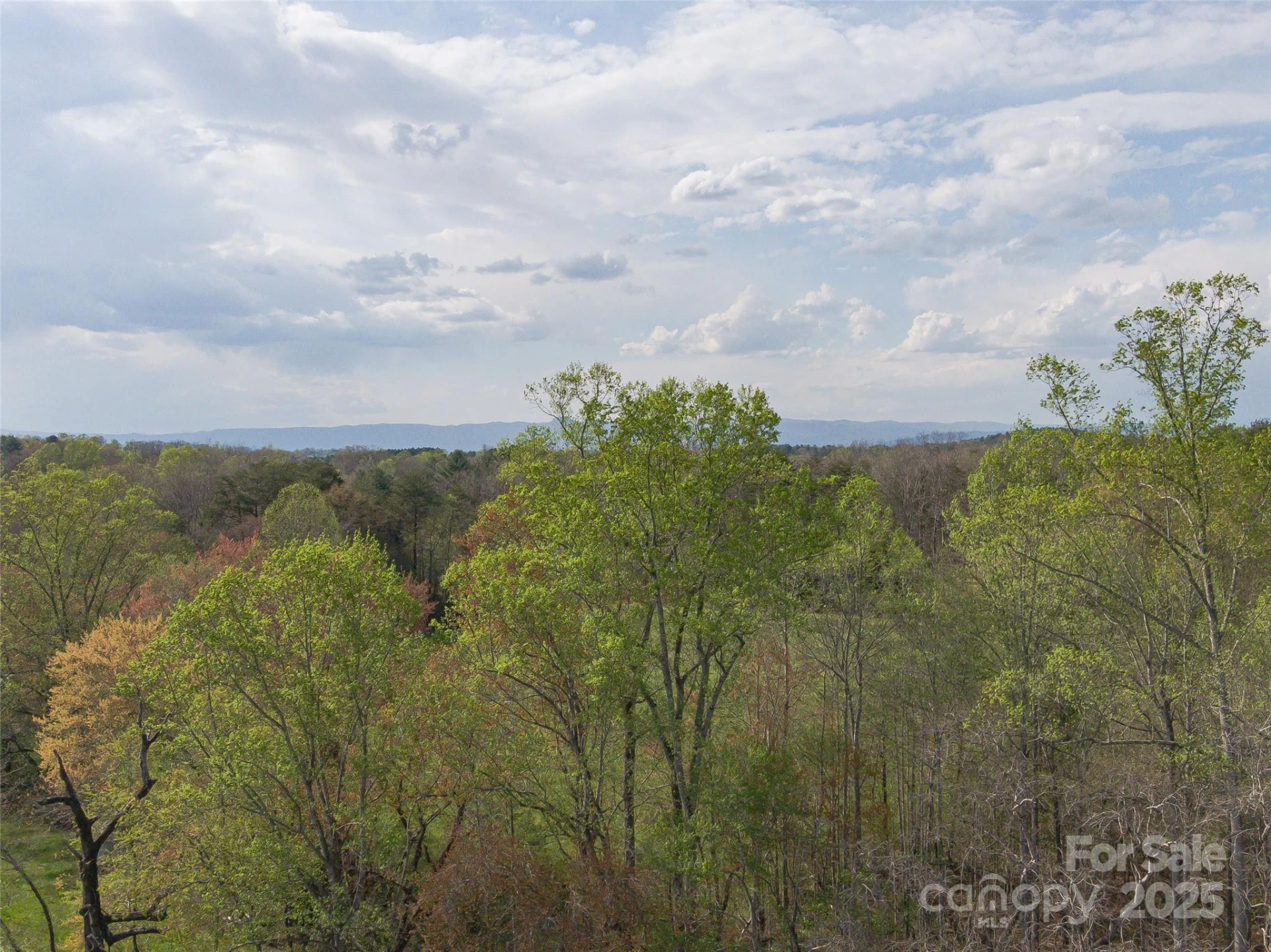 2088 Winds Avenue - Photo 13