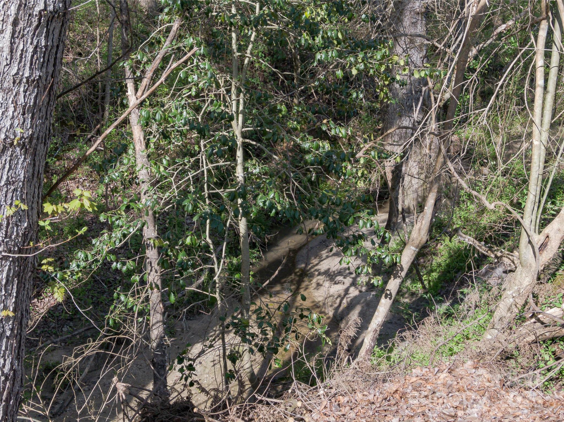 2088 Winds Avenue - Photo 17