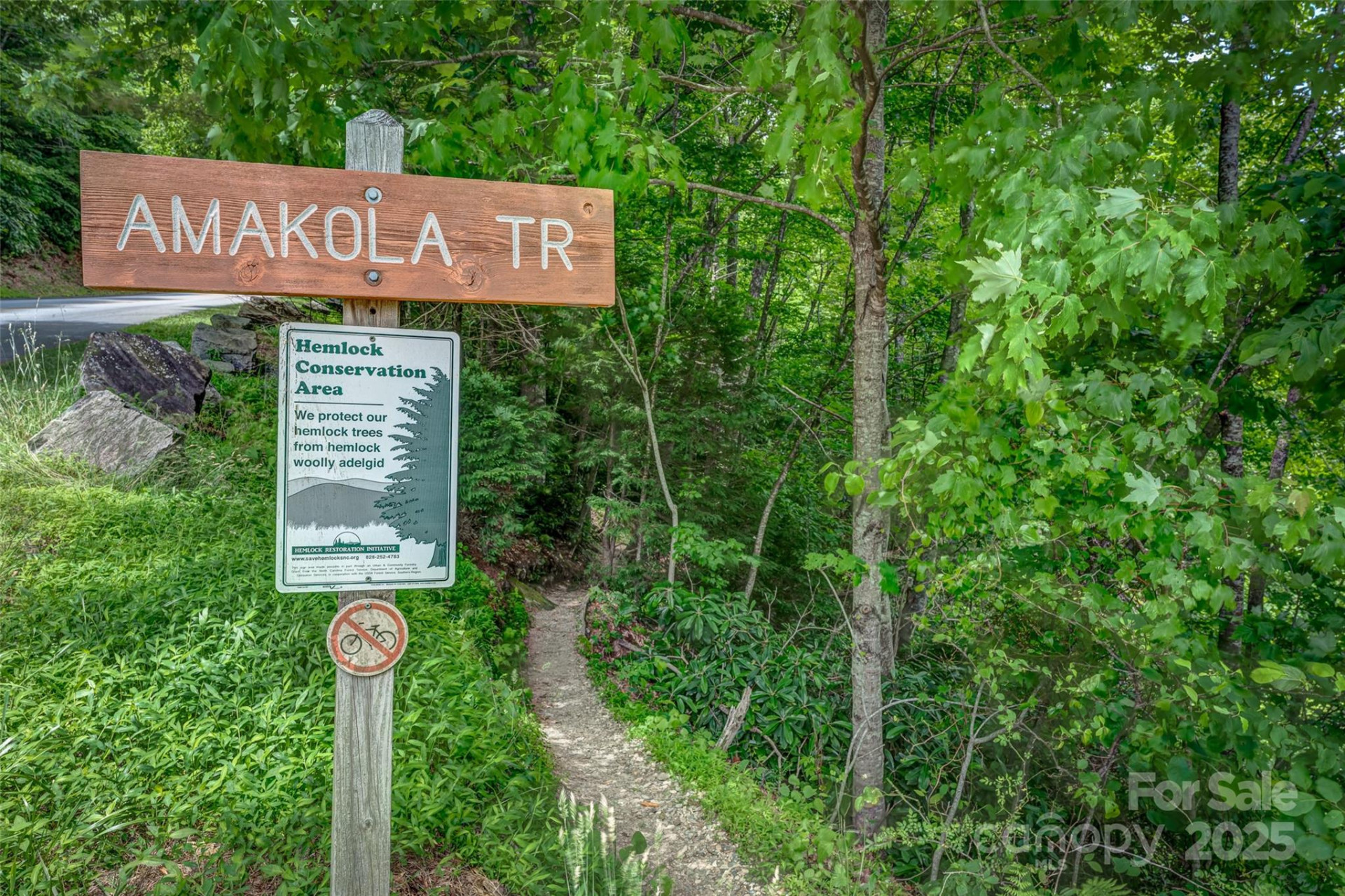 46 Wahuhu Court - Photo 41