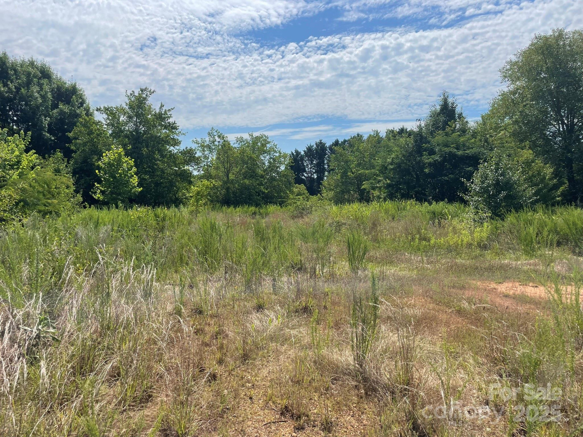 309 Enola Road - Photo 13