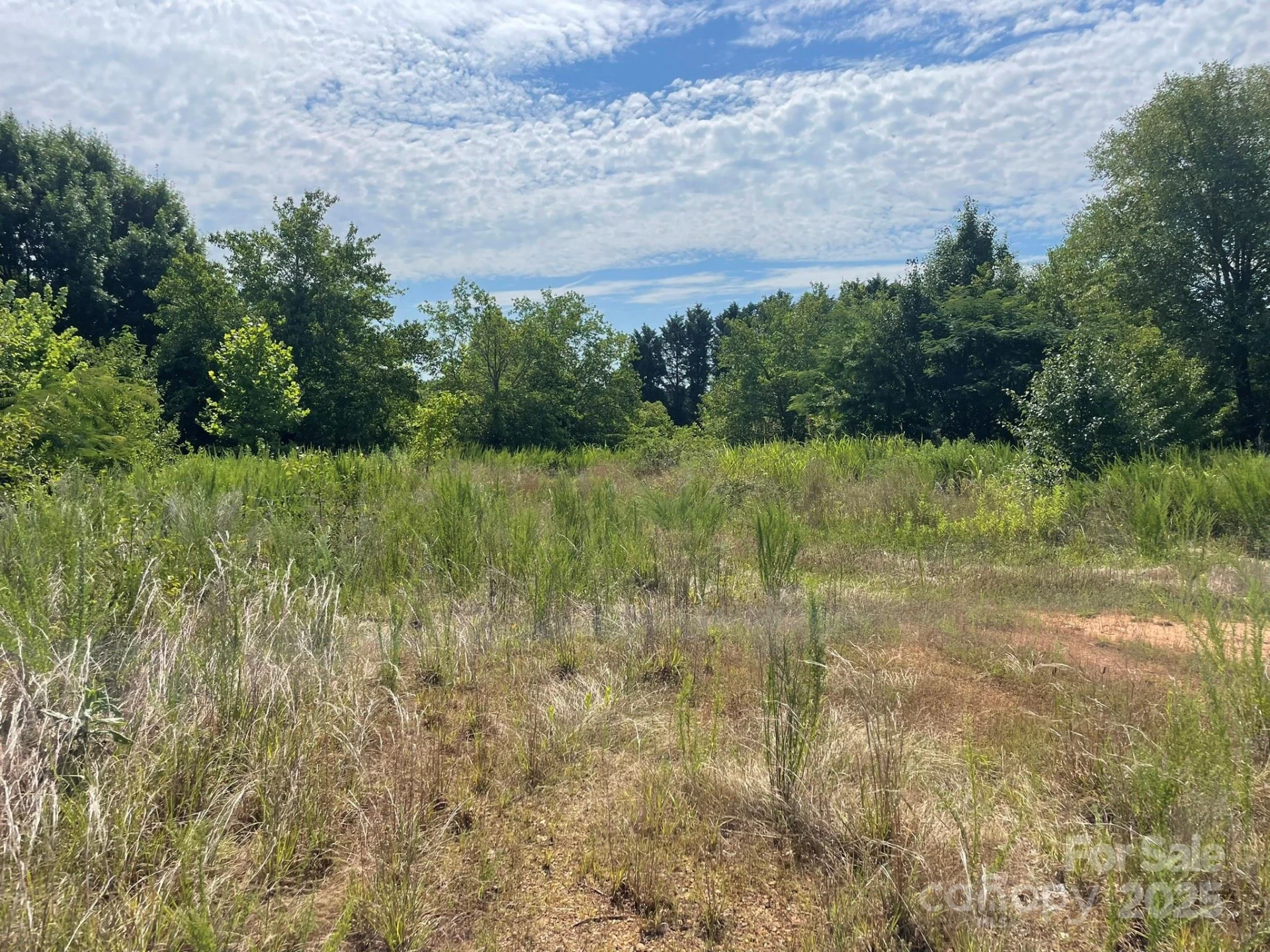 309 Enola Road - Photo 13