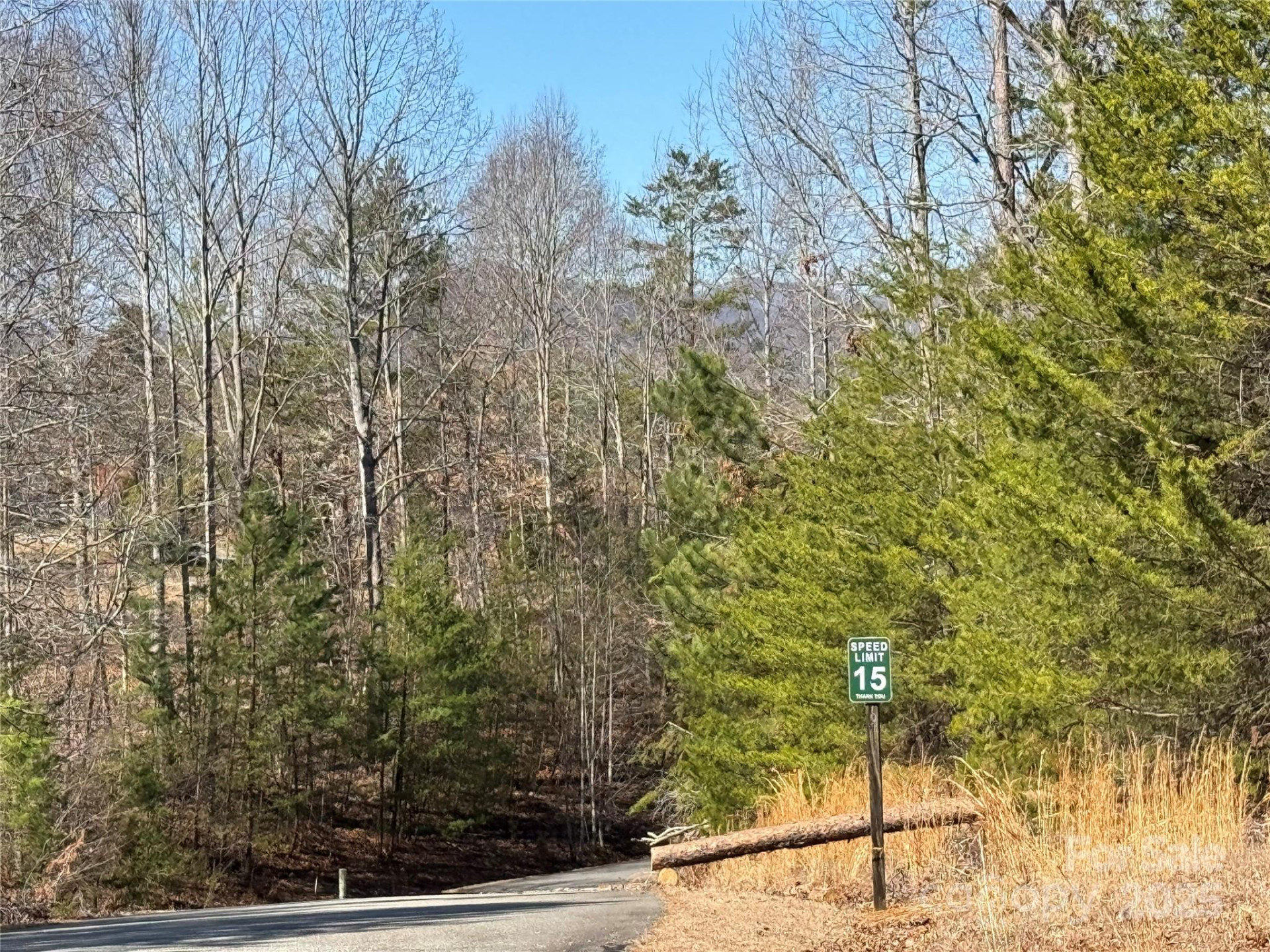 00 Shady Bark Lane - Photo 2