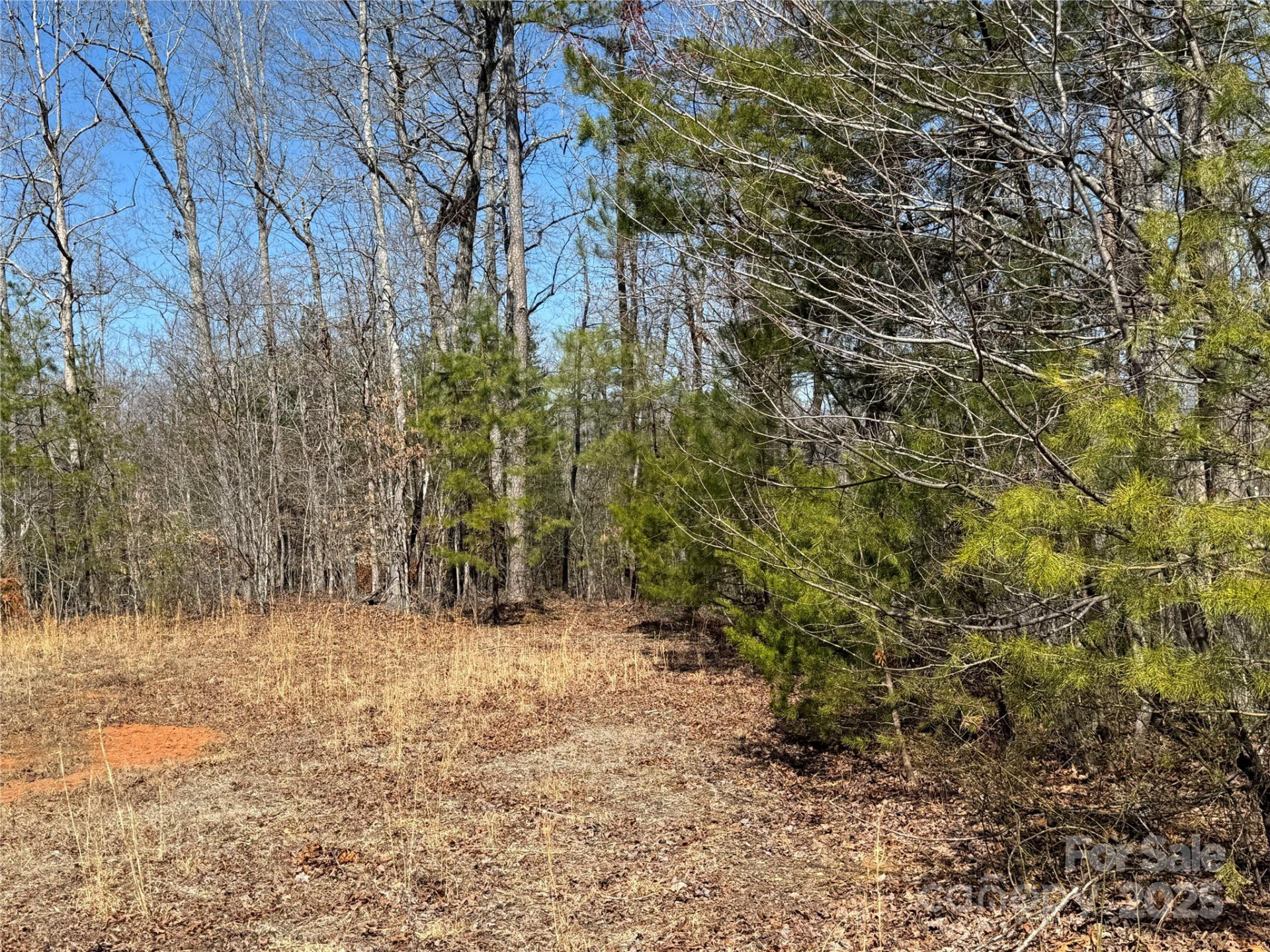 00 Shady Bark Lane - Photo 5