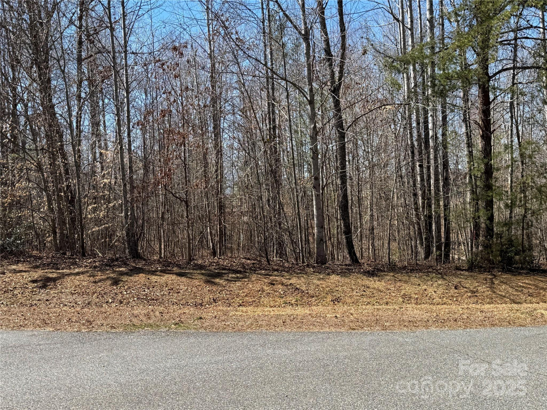 00 Shady Bark Lane - Photo 7