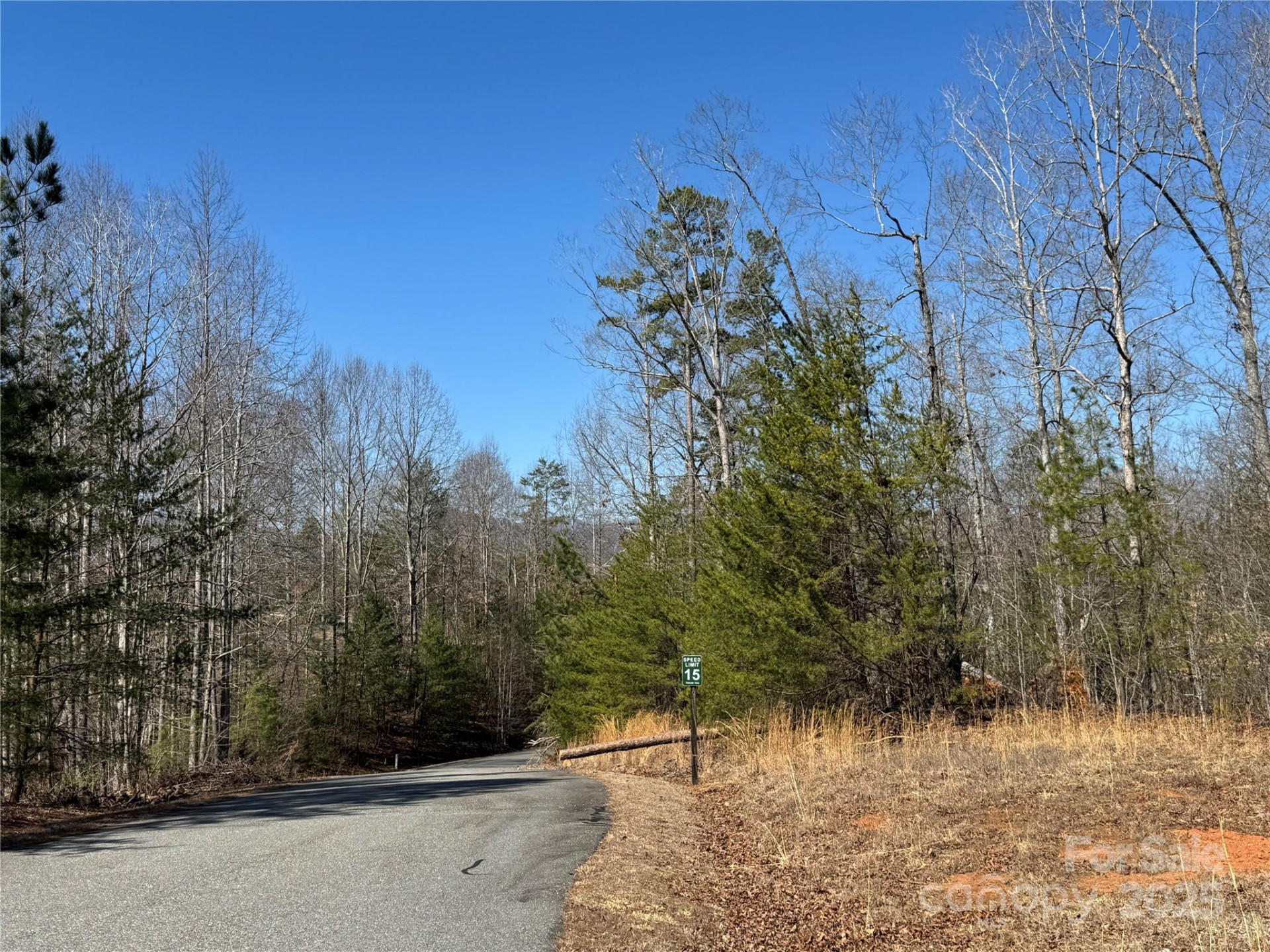 00 Shady Bark Lane - Photo 8