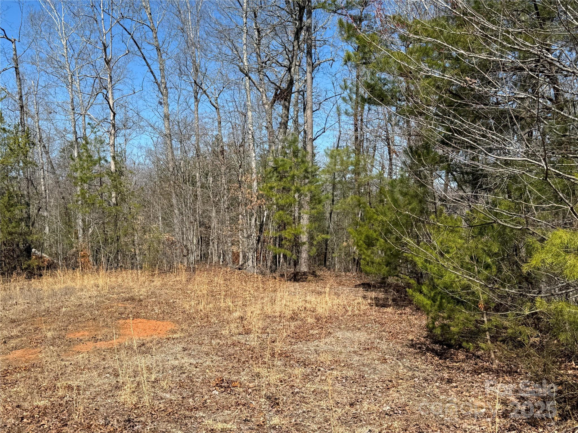 00 Shady Bark Lane - Photo 9