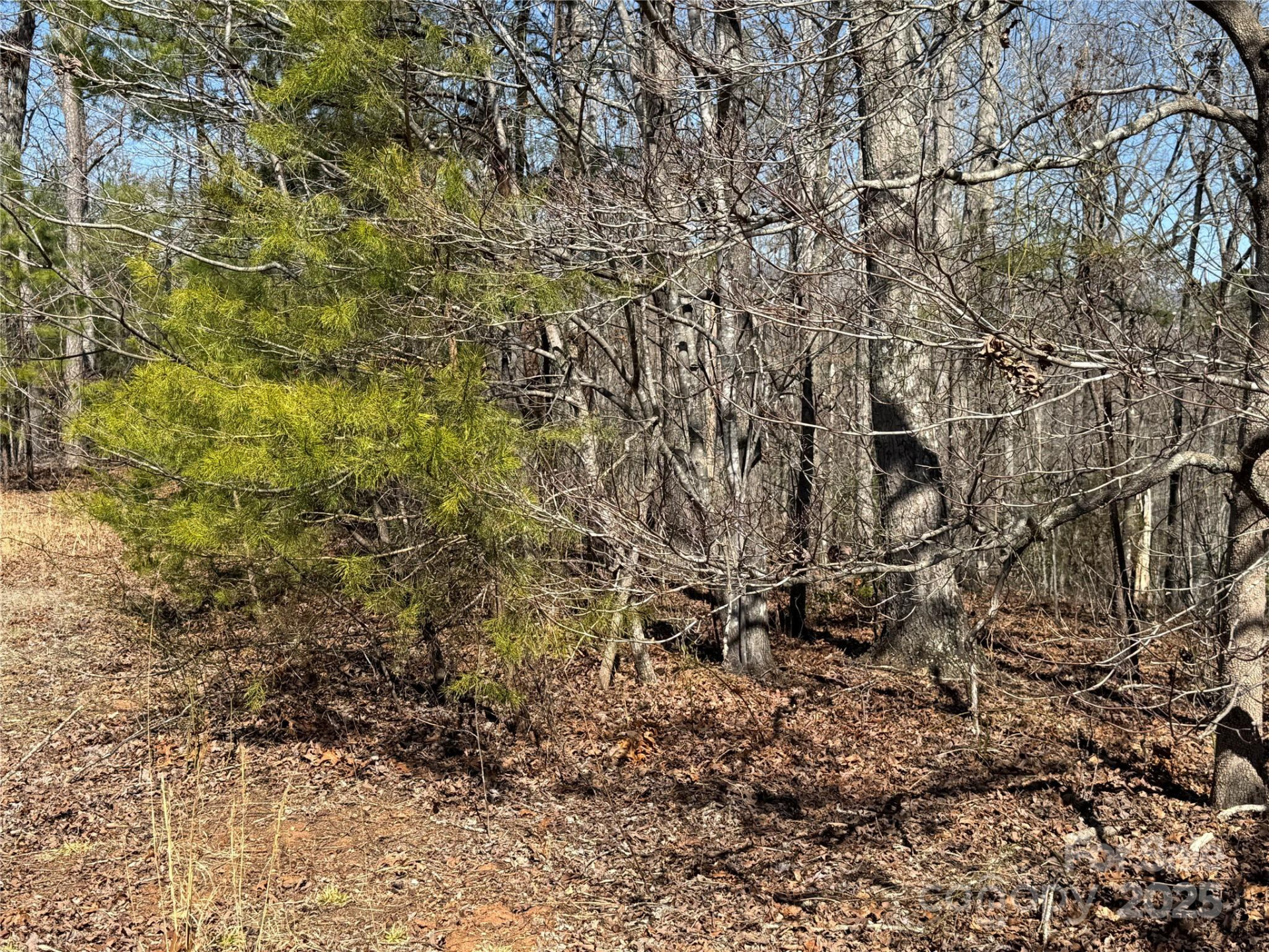 00 Shady Bark Lane - Photo 10