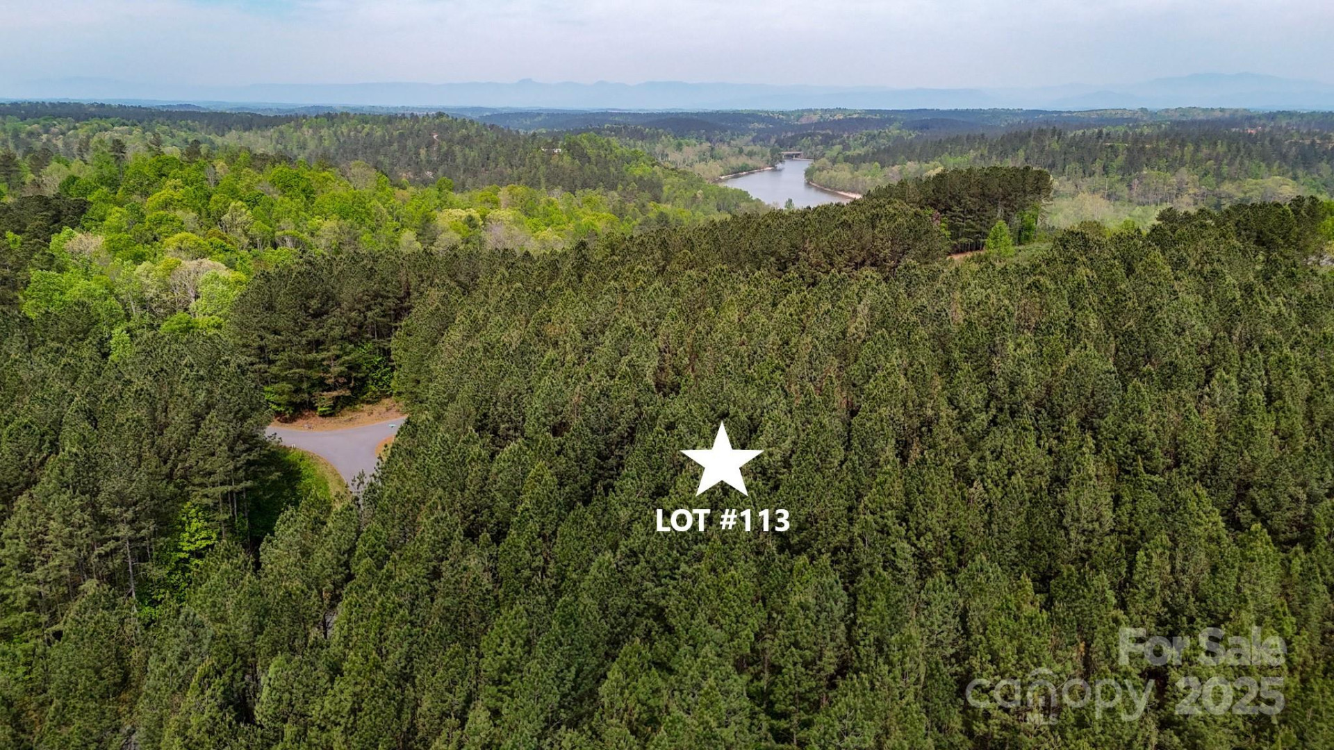 103 Shortoff Trail #113 - Photo 2