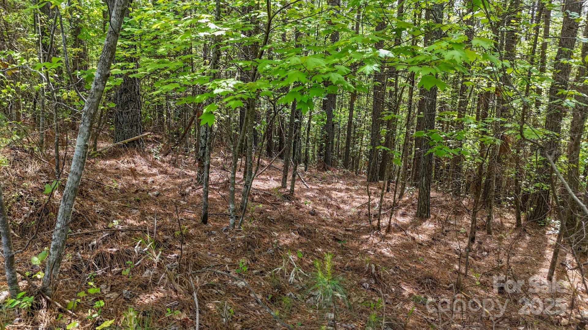 103 Shortoff Trail #113 - Photo 11