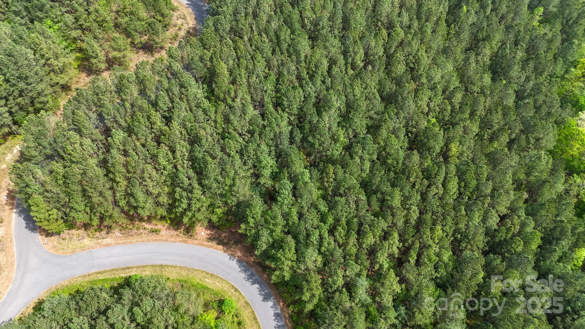 103 Shortoff Trail #113 - Photo 12