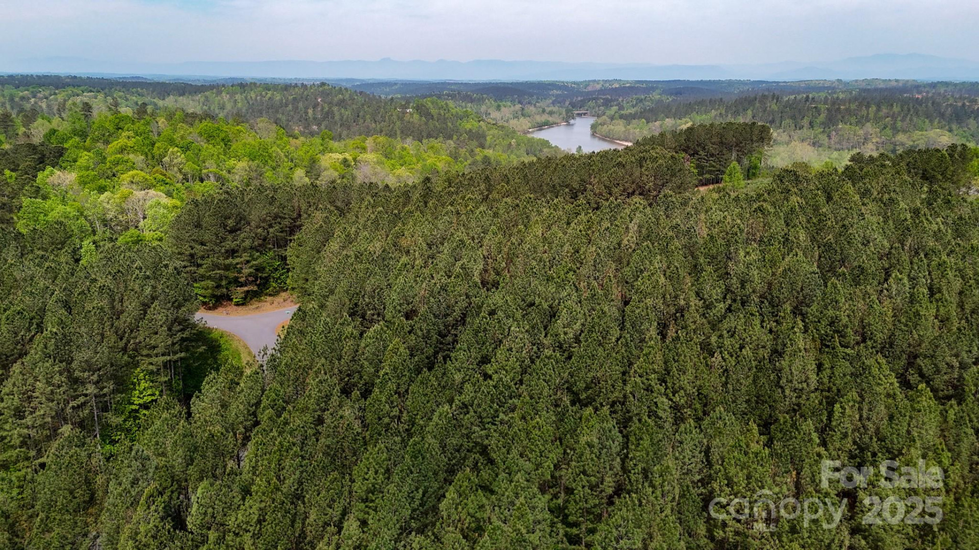 103 Shortoff Trail #113 - Photo 4