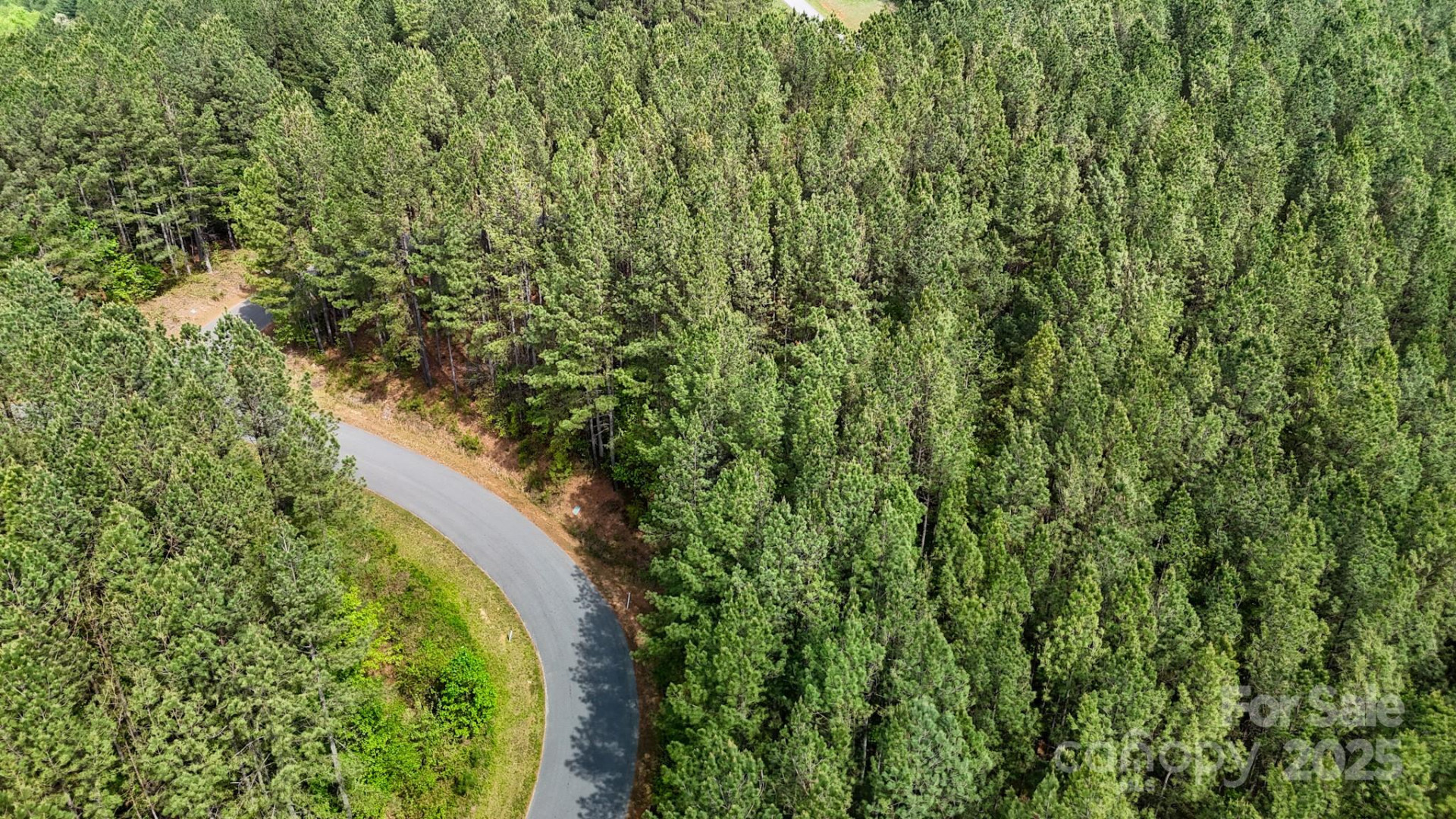 103 Shortoff Trail #113 - Photo 5