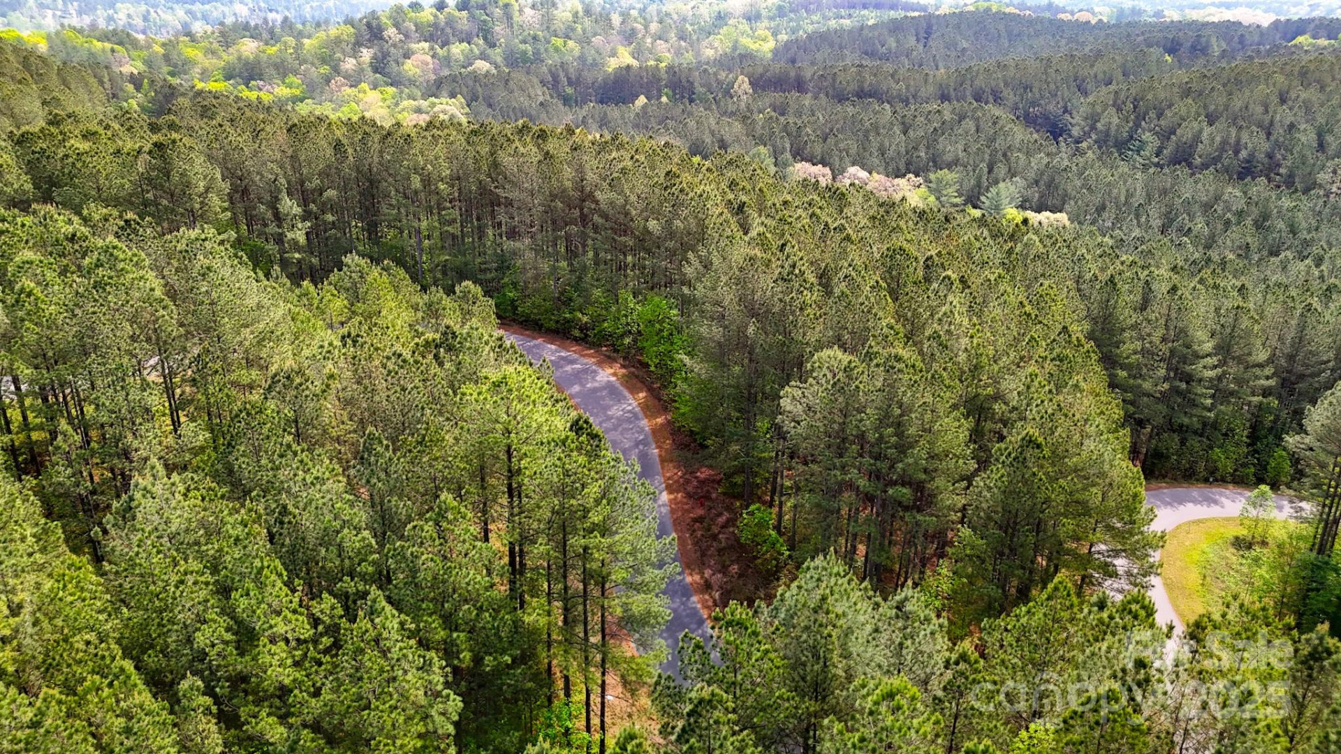 103 Shortoff Trail #113 - Photo 6