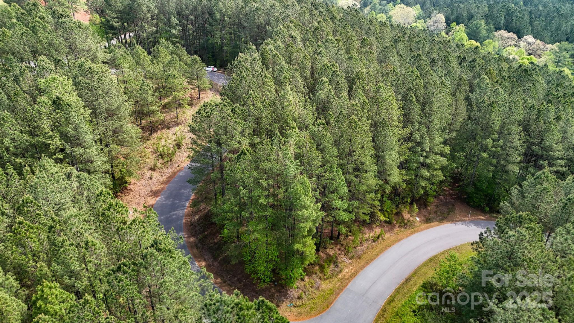 103 Shortoff Trail #113 - Photo 7