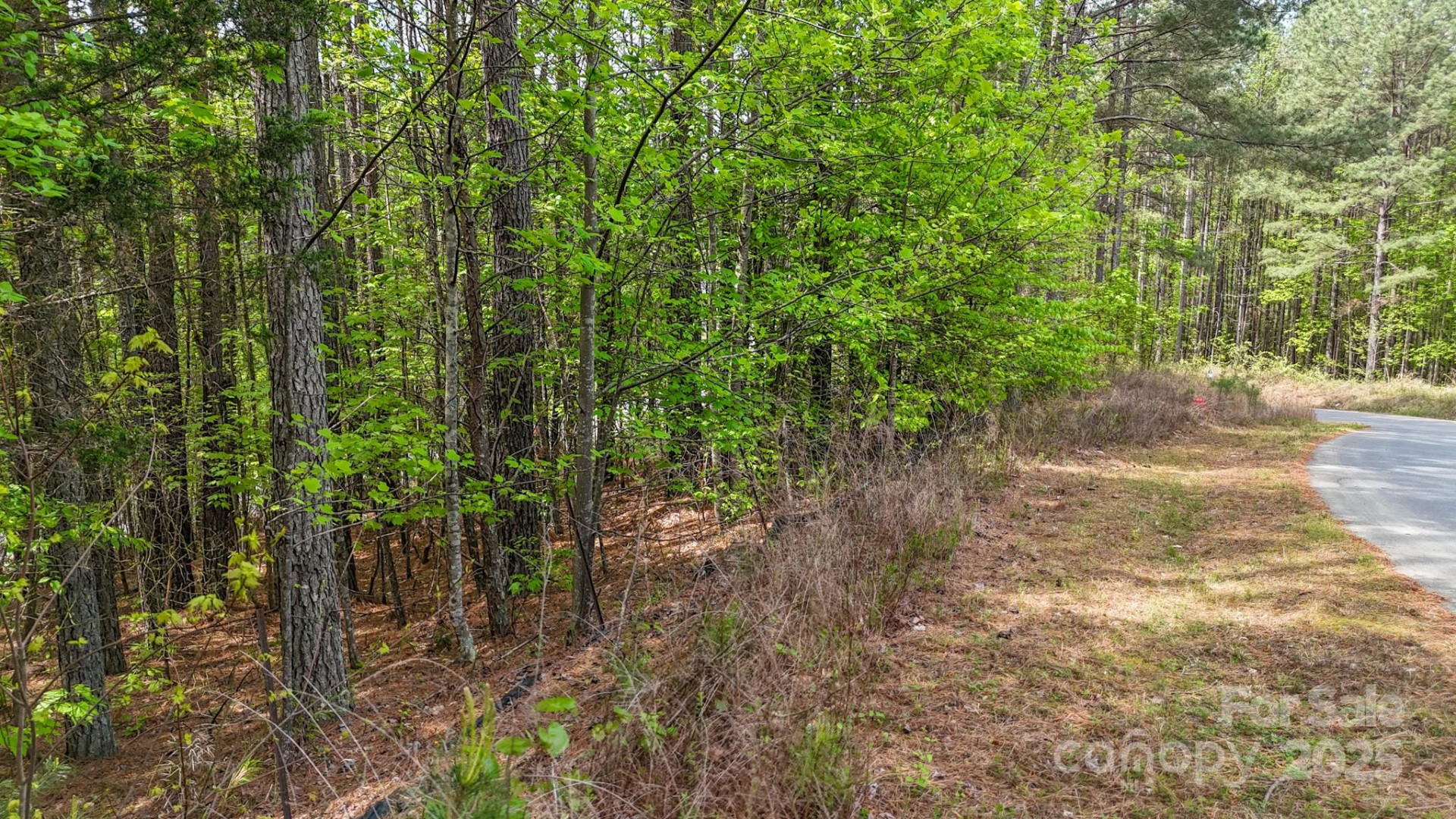 103 Shortoff Trail #113 - Photo 9
