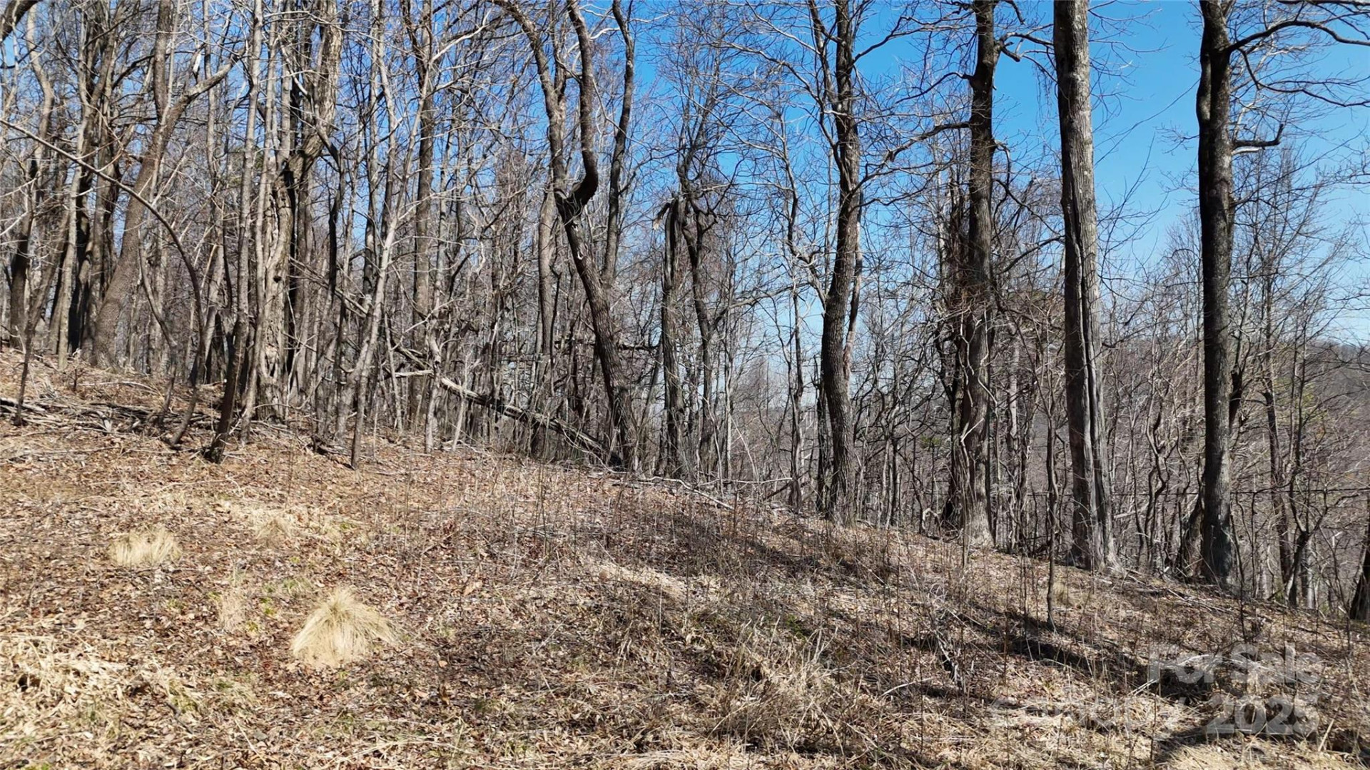 1.1 Acre Blockaders Den Road - Photo 13