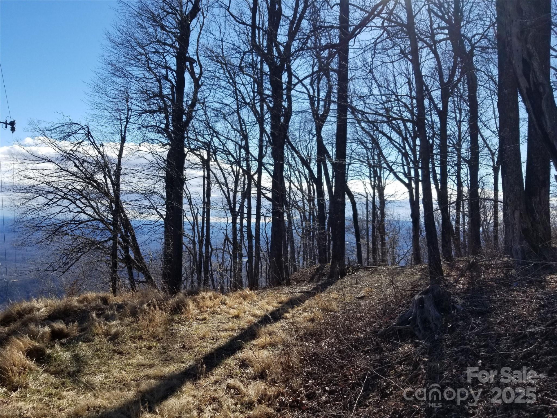 1.1 Acre Blockaders Den Road - Photo 16
