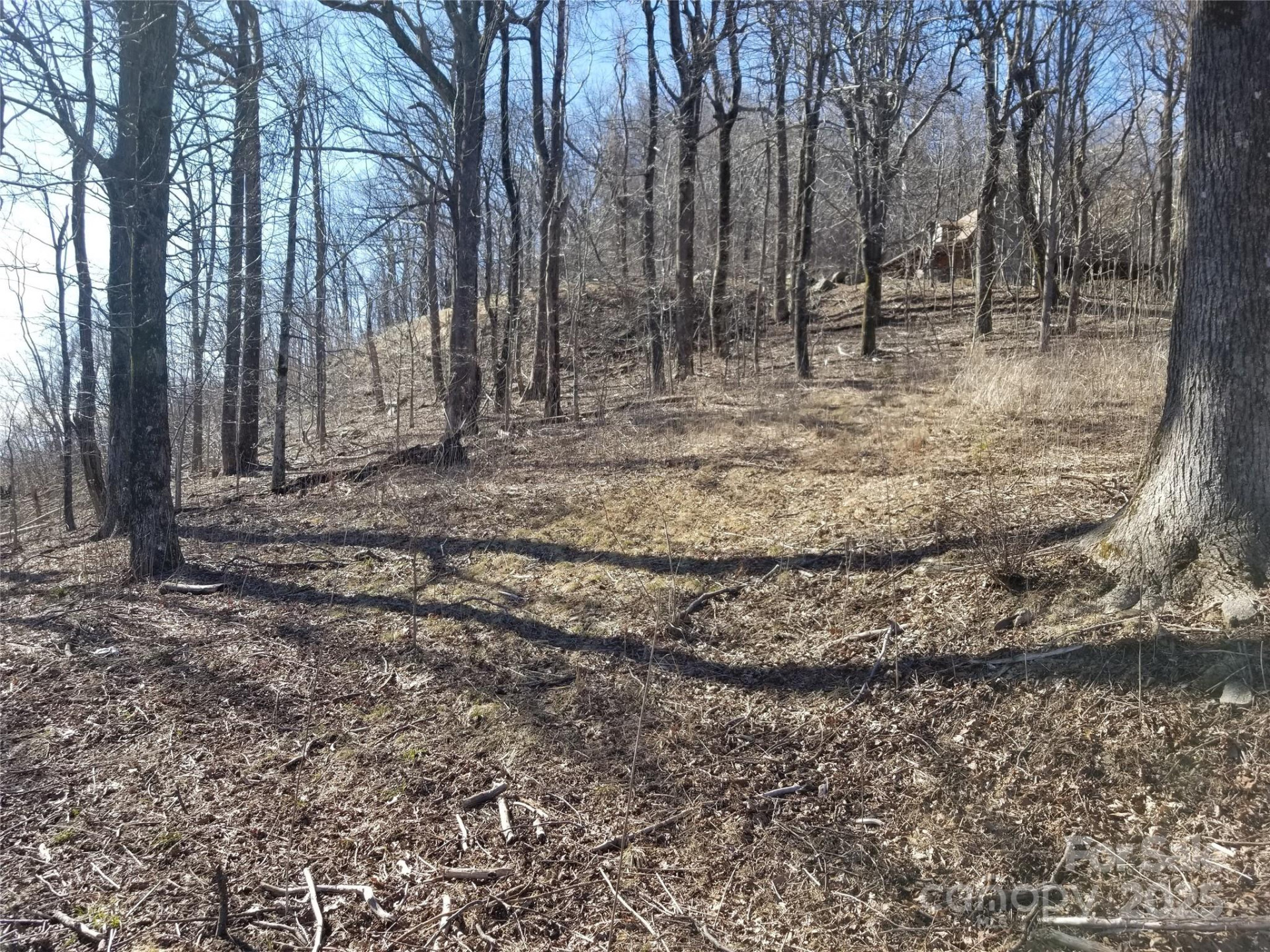 1.1 Acre Blockaders Den Road - Photo 17