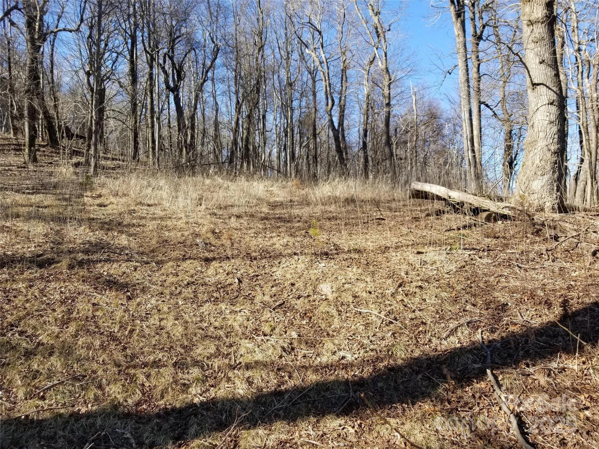 1.1 Acre Blockaders Den Road - Photo 18