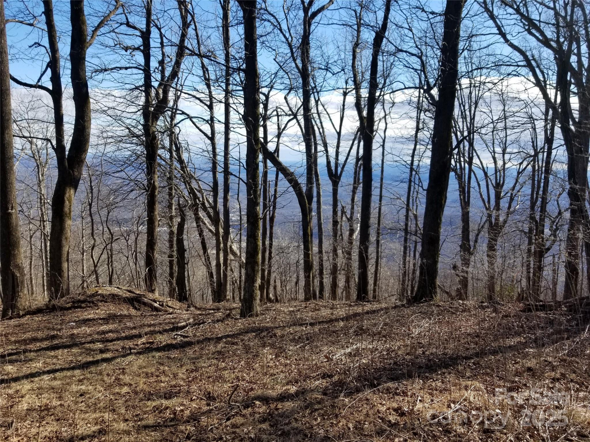 1.1 Acre Blockaders Den Road - Photo 19