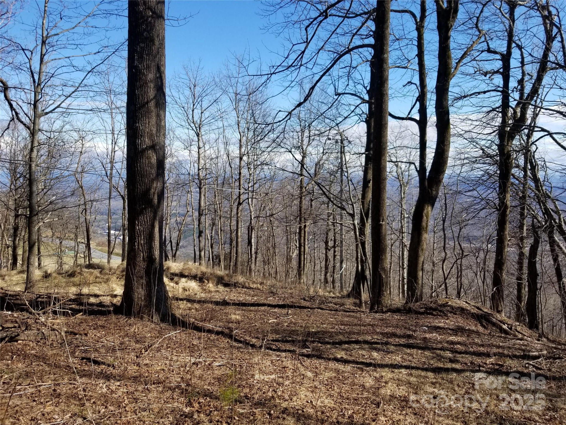 1.1 Acre Blockaders Den Road - Photo 20