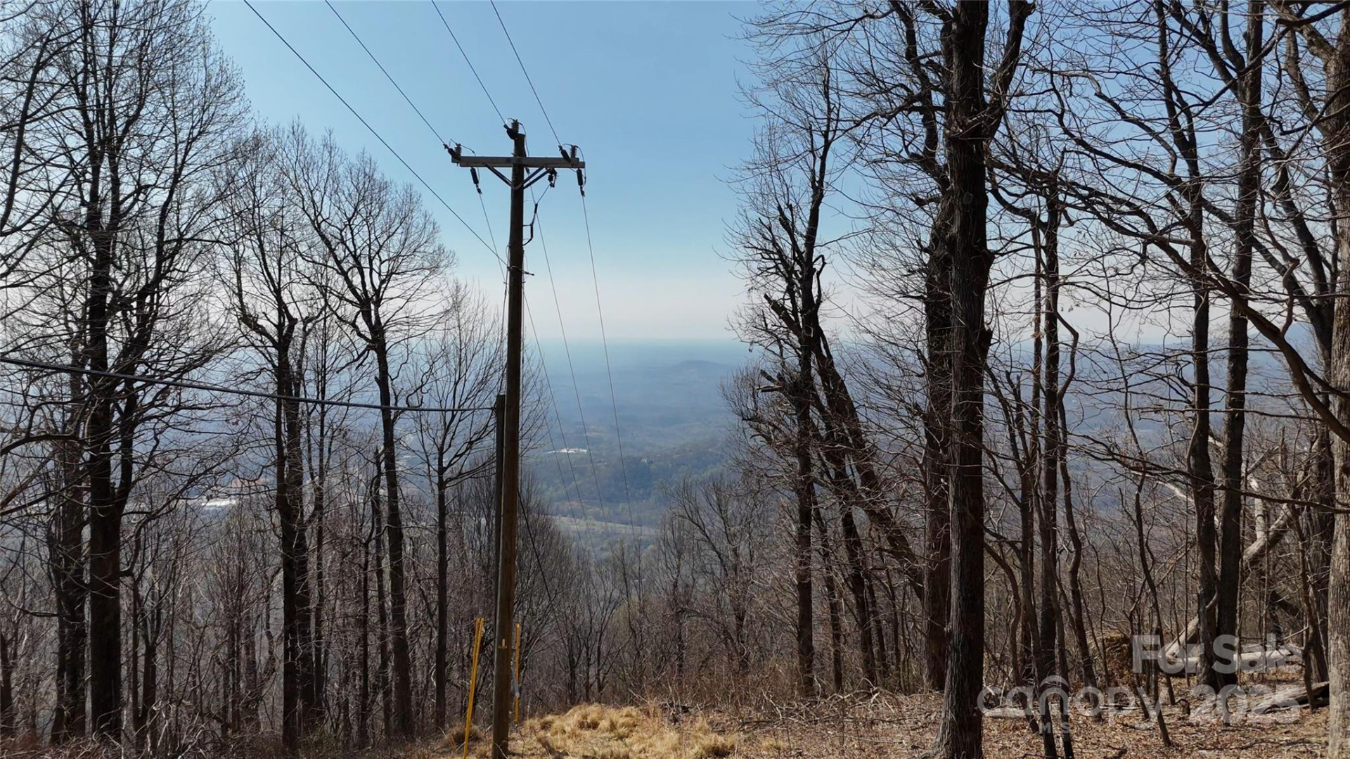 1.1 Acre Blockaders Den Road - Photo 3