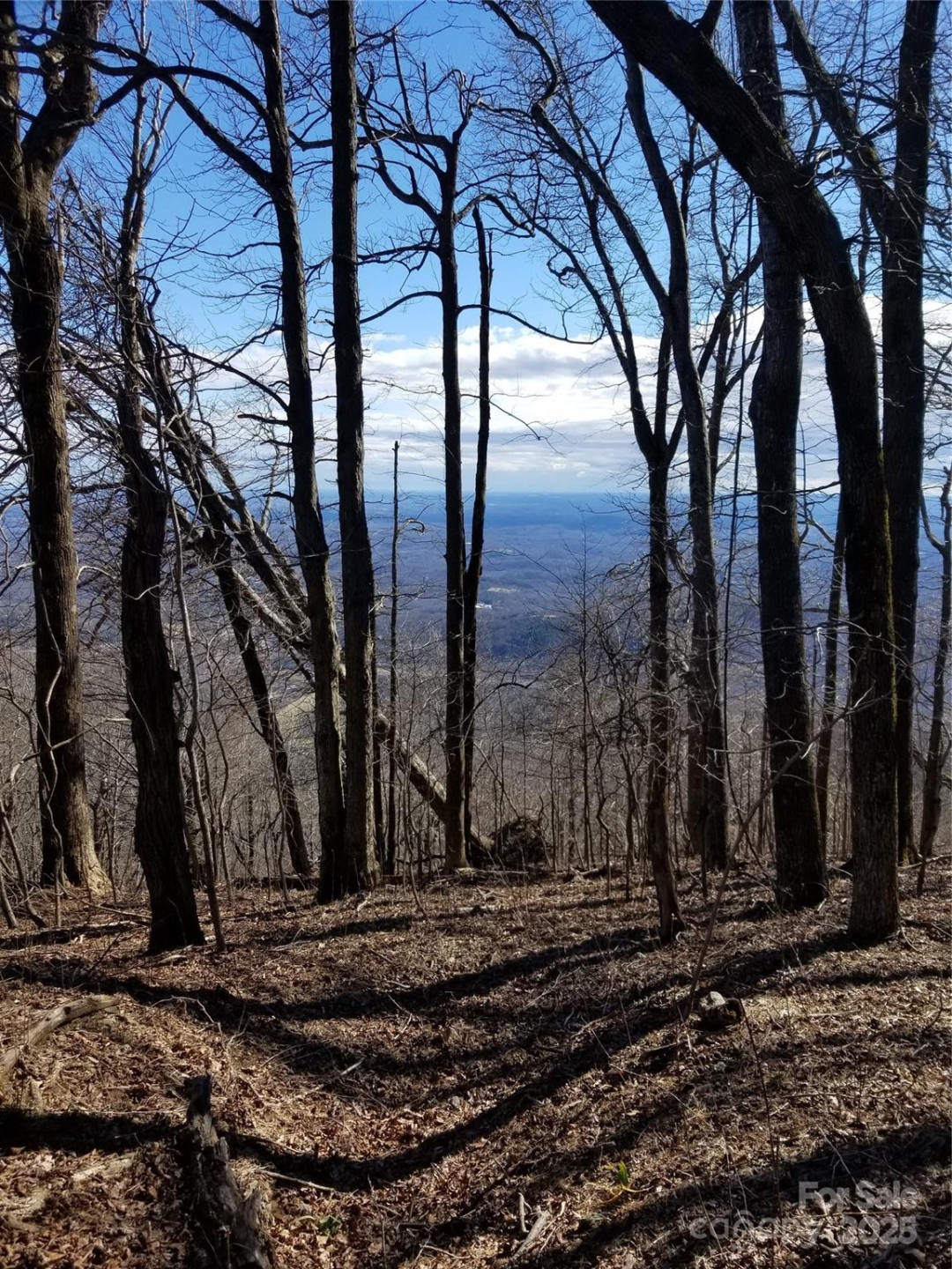 1.1 Acre Blockaders Den Road - Photo 23