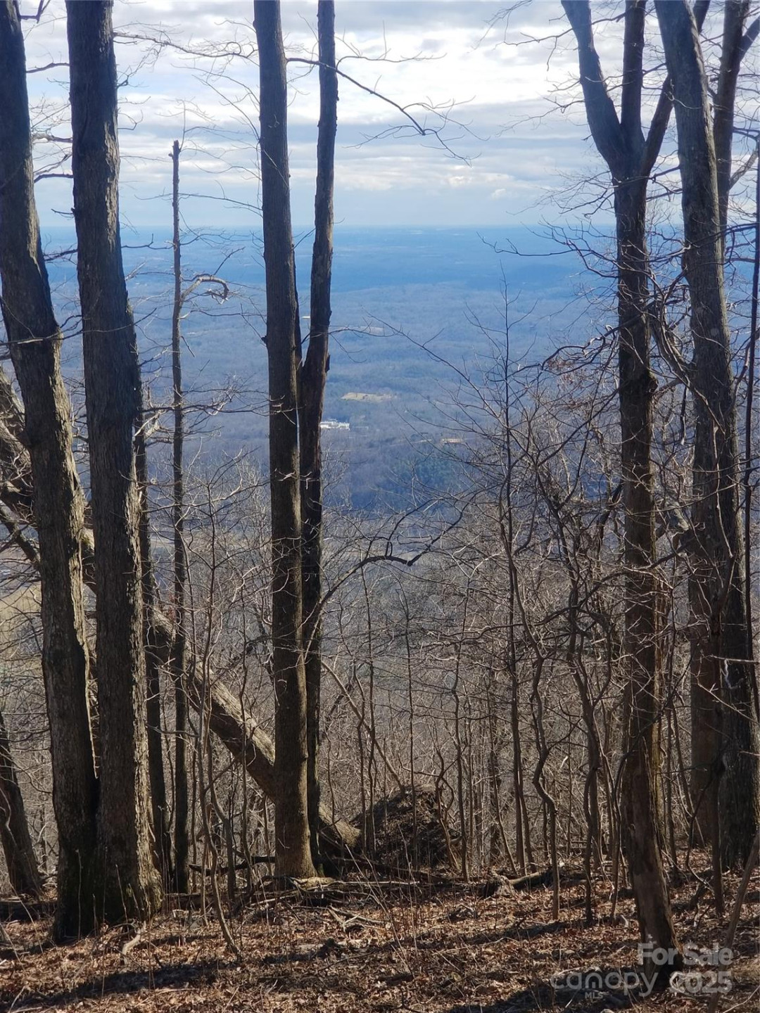 1.1 Acre Blockaders Den Road - Photo 24