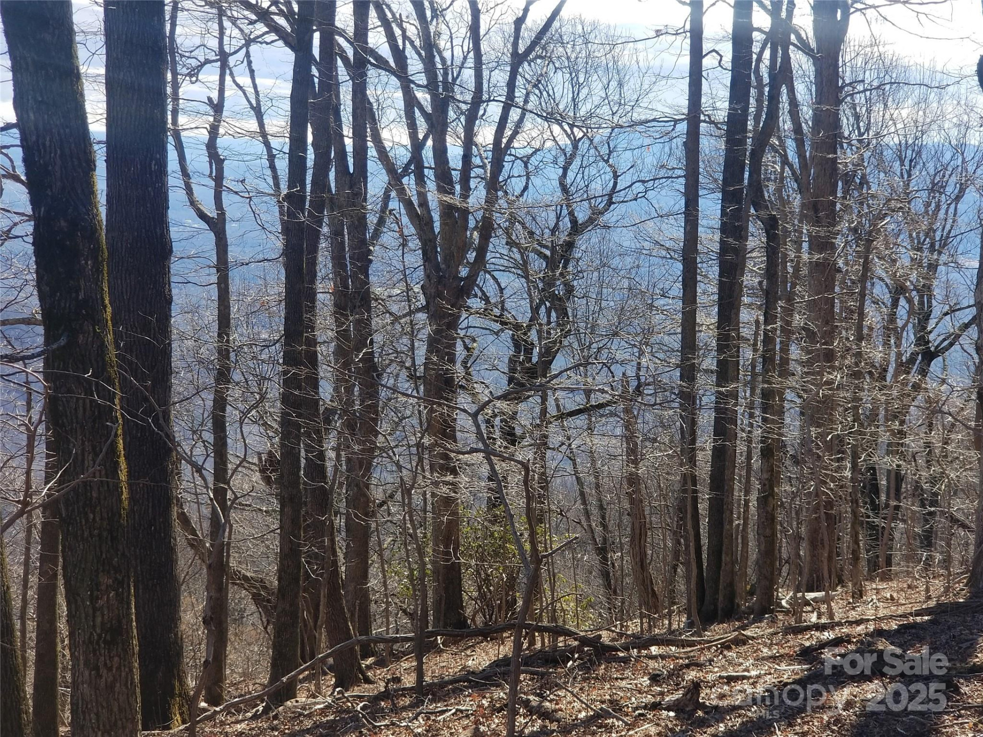 1.1 Acre Blockaders Den Road - Photo 25