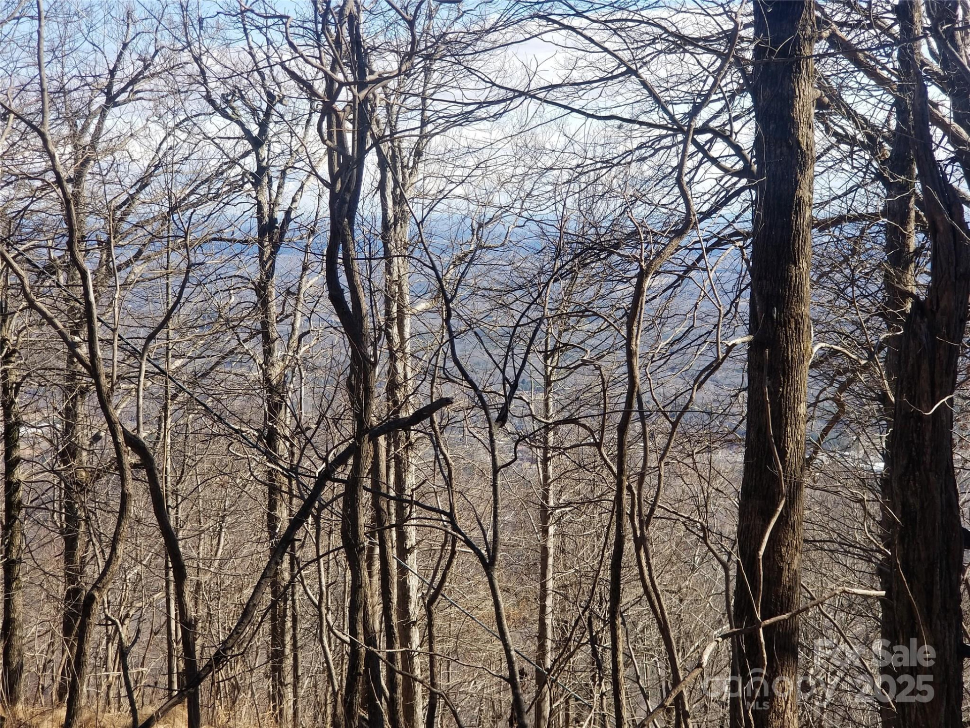 1.1 Acre Blockaders Den Road - Photo 27