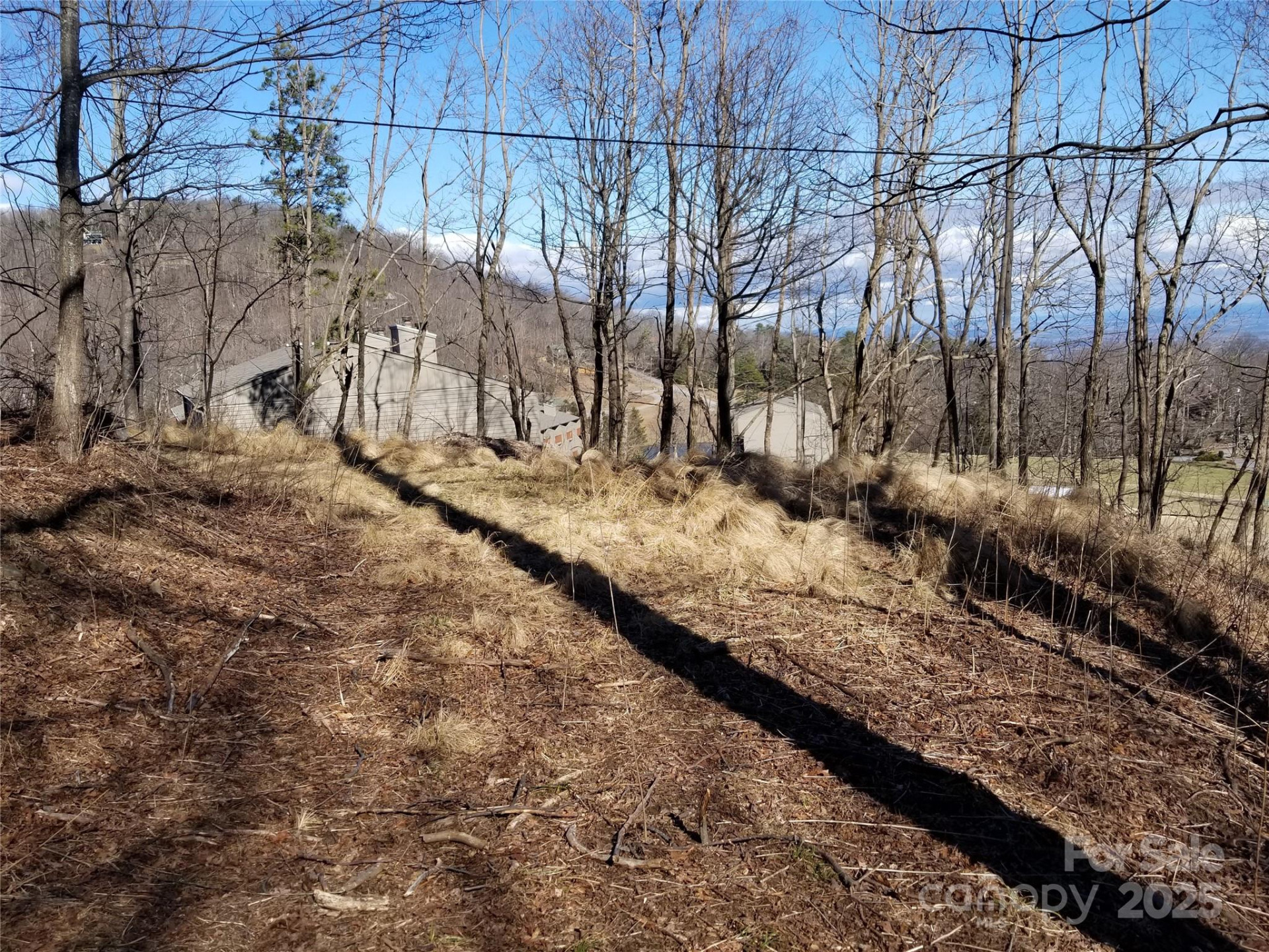1.1 Acre Blockaders Den Road - Photo 28