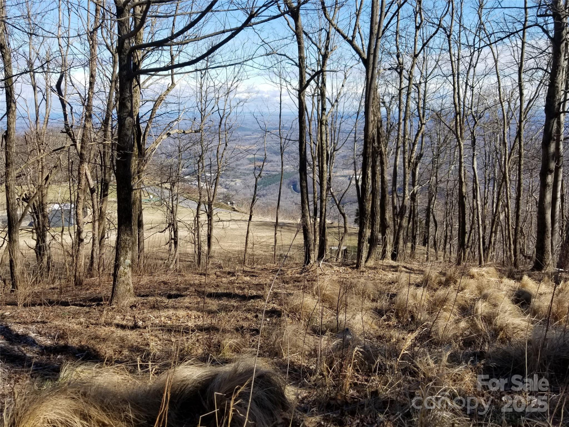 1.1 Acre Blockaders Den Road - Photo 29