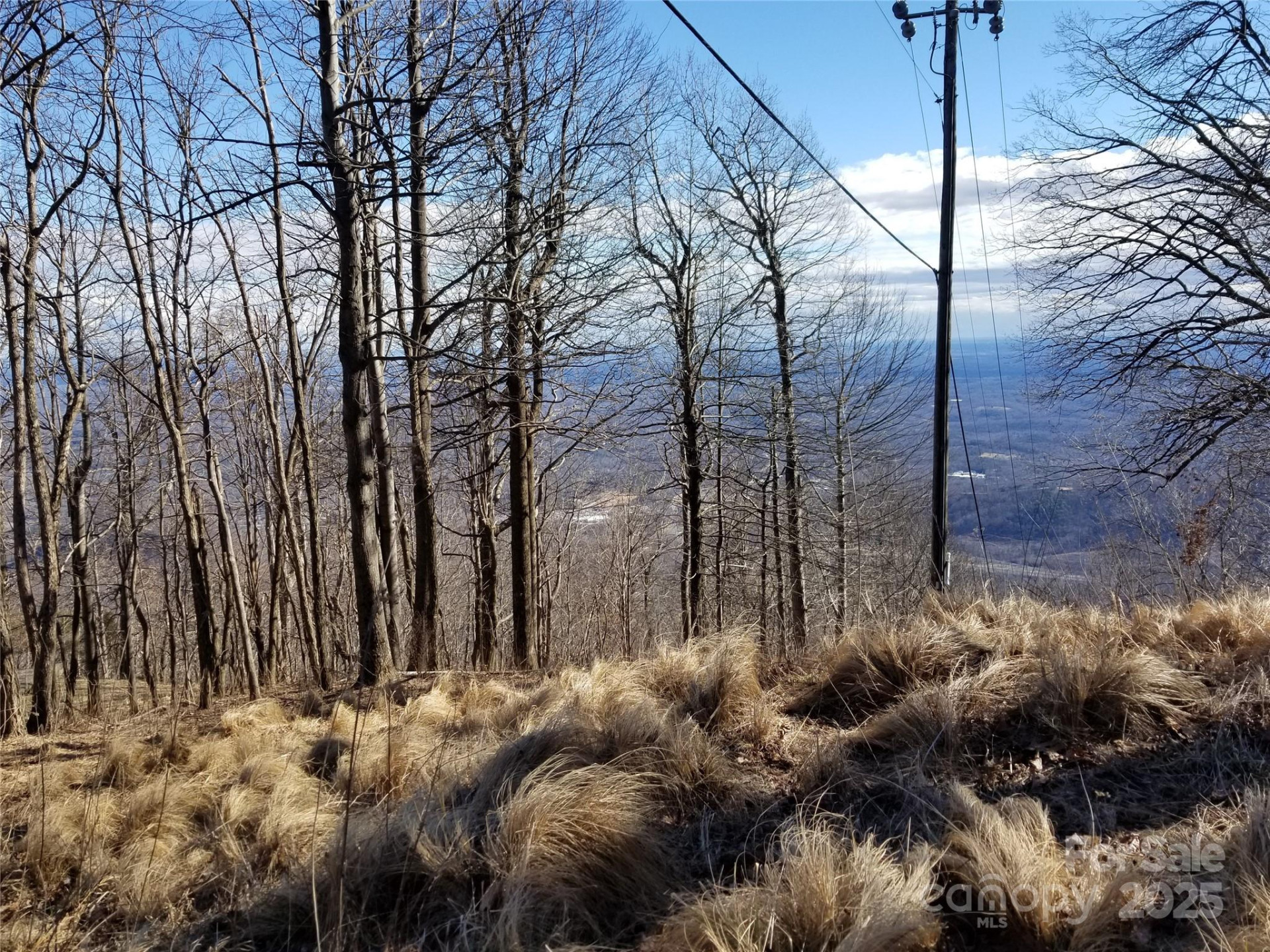 1.1 Acre Blockaders Den Road - Photo 30