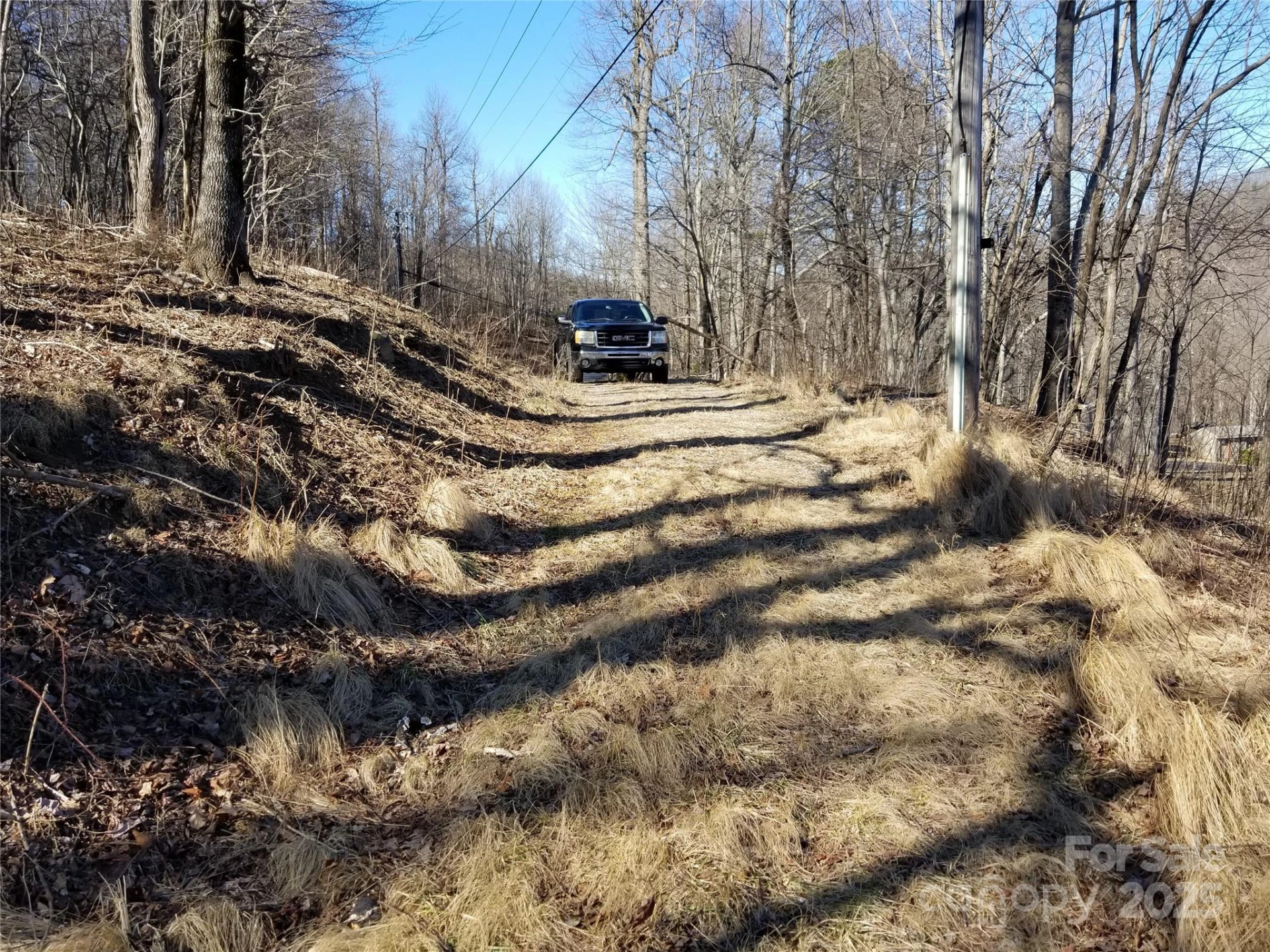 1.1 Acre Blockaders Den Road - Photo 31
