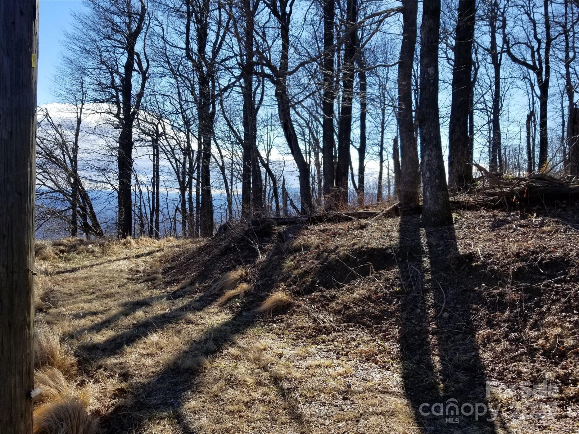 1.1 Acre Blockaders Den Road - Photo 32