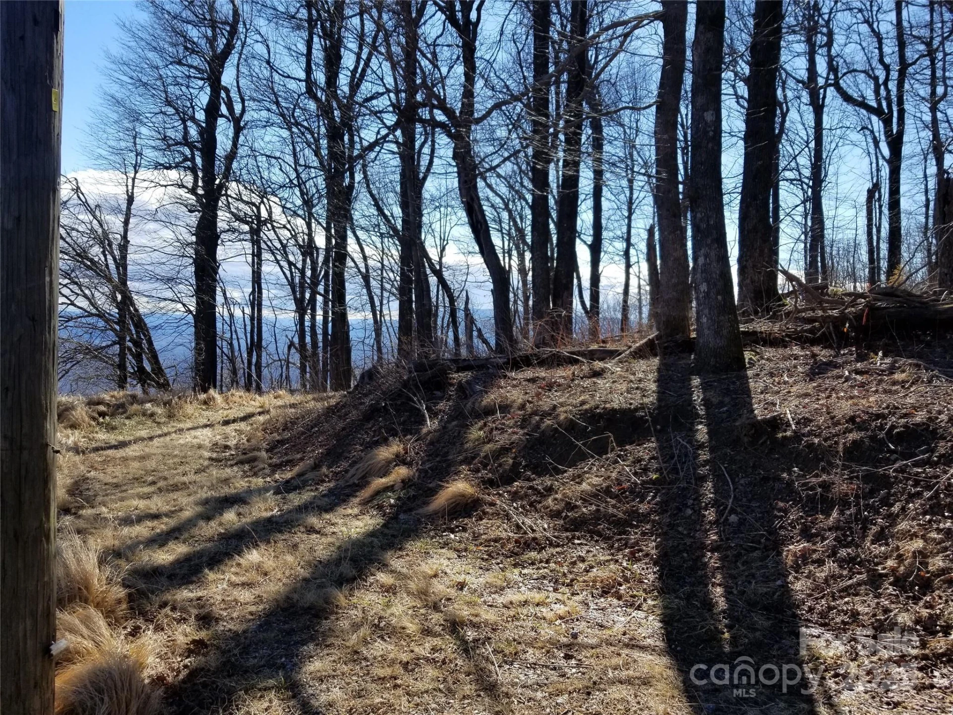 1.1 Acre Blockaders Den Road - Photo 32
