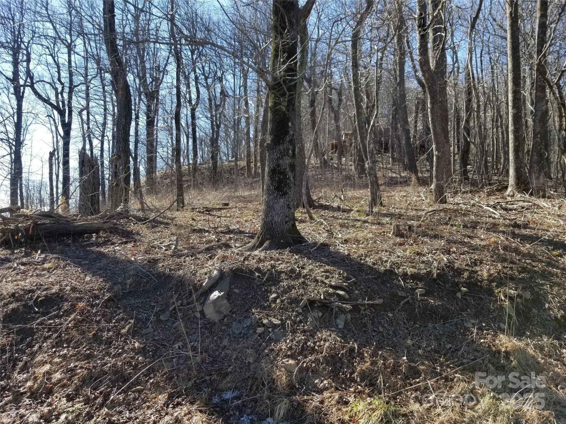 1.1 Acre Blockaders Den Road - Photo 33