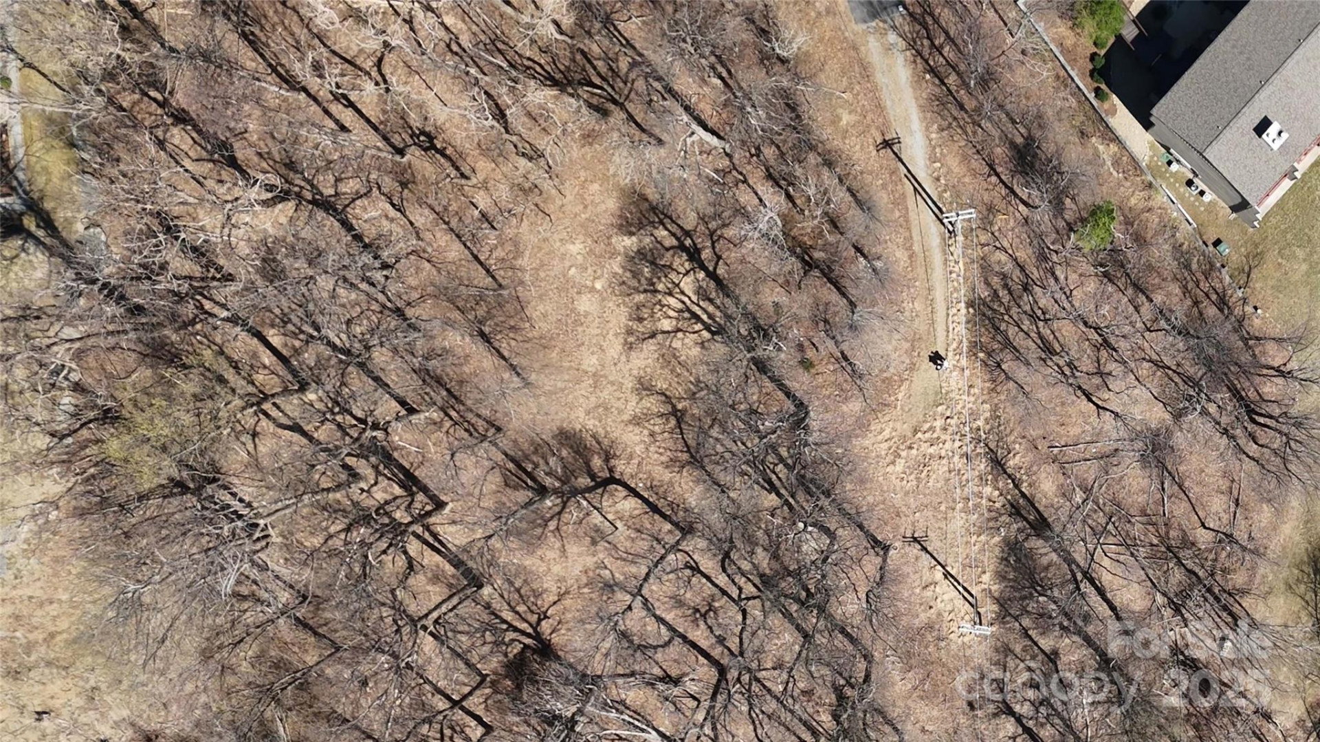 1.1 Acre Blockaders Den Road - Photo 38