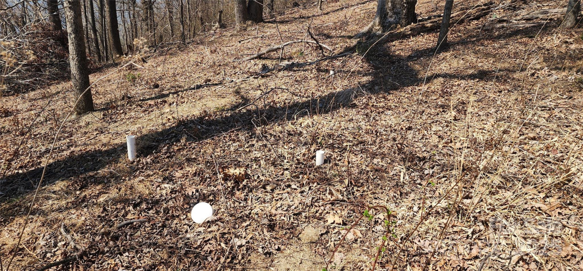 1.1 Acre Blockaders Den Road - Photo 39