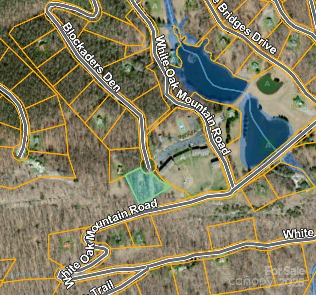 1.1 Acre Blockaders Den Road - Photo 40