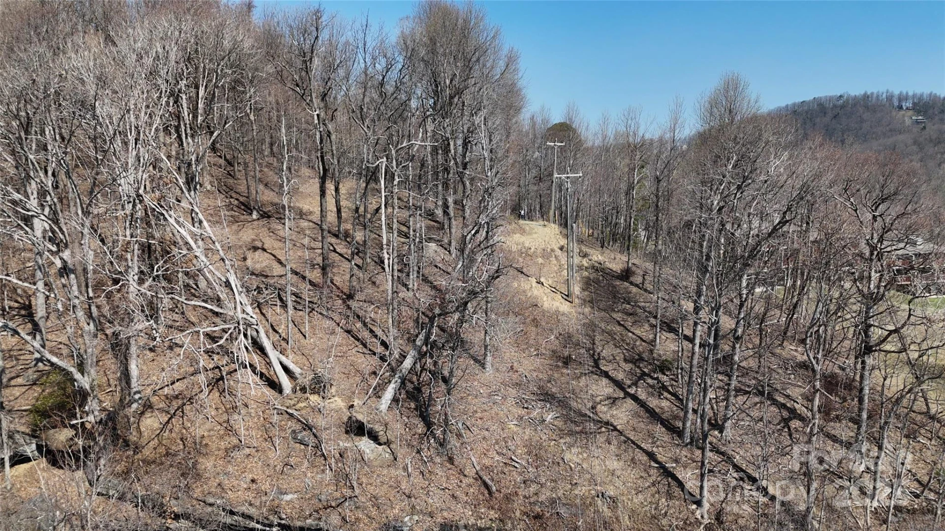 1.1 Acre Blockaders Den Road - Photo 8
