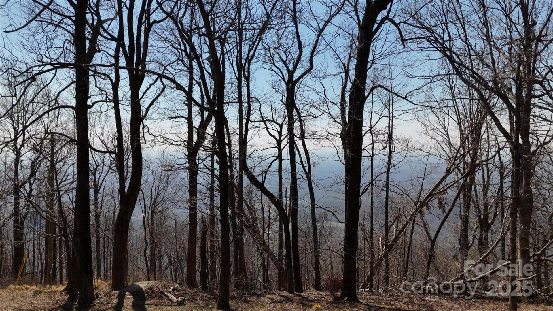 1.1 Acre Blockaders Den Road - Photo 10