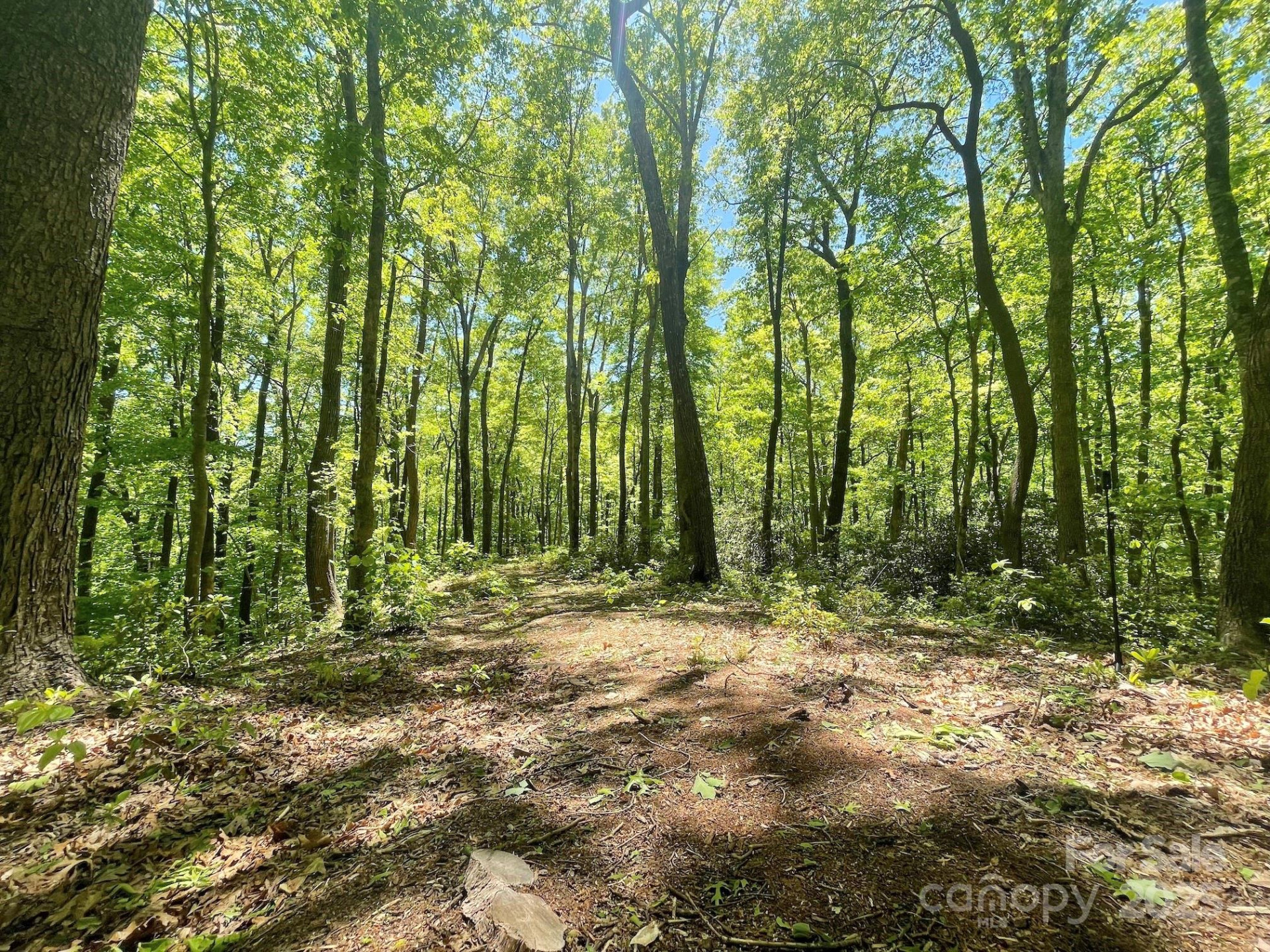 201 Ironwood Lane #T-100 - Photo 2