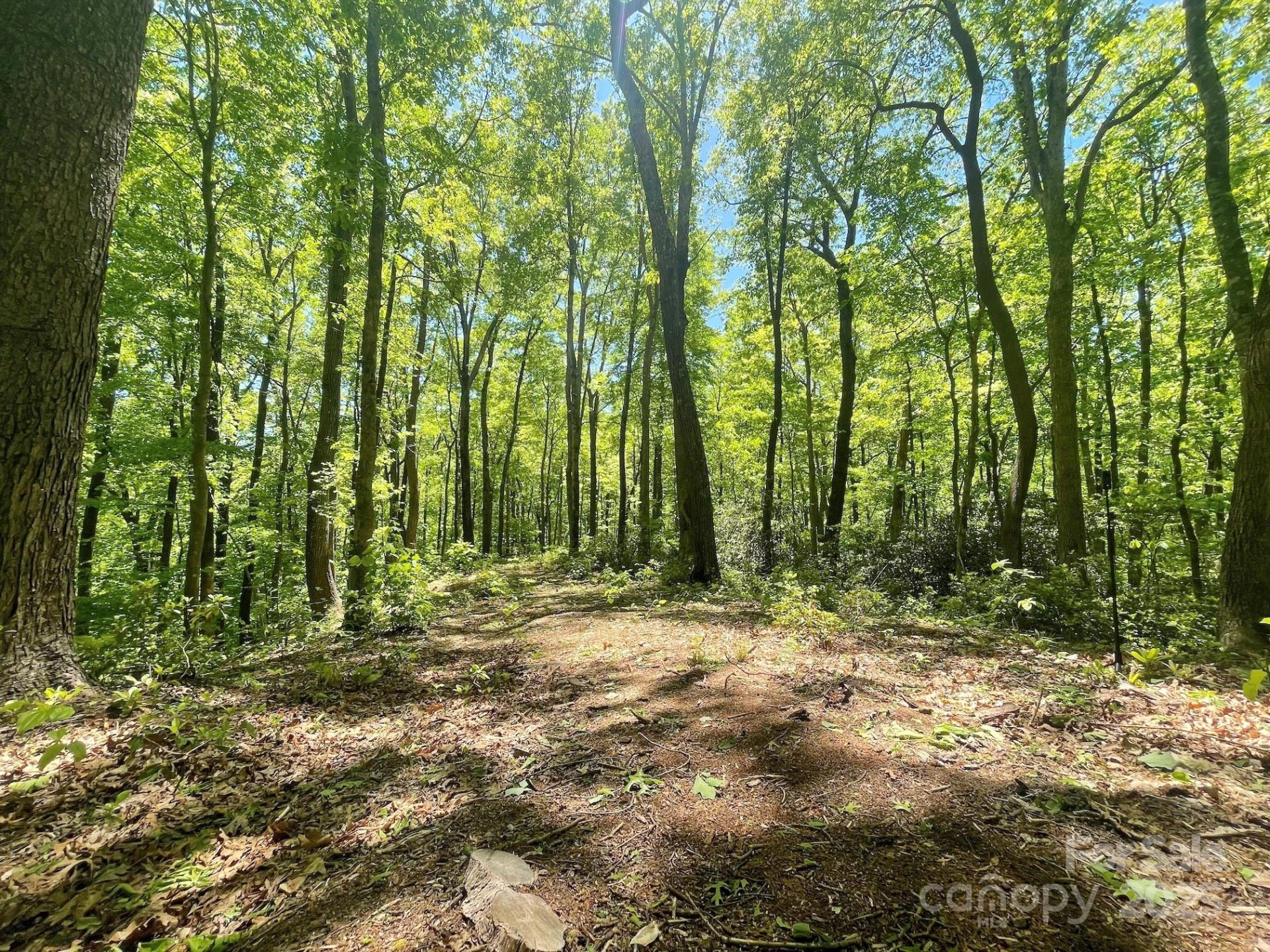201 Ironwood Lane #T-100 - Photo 2