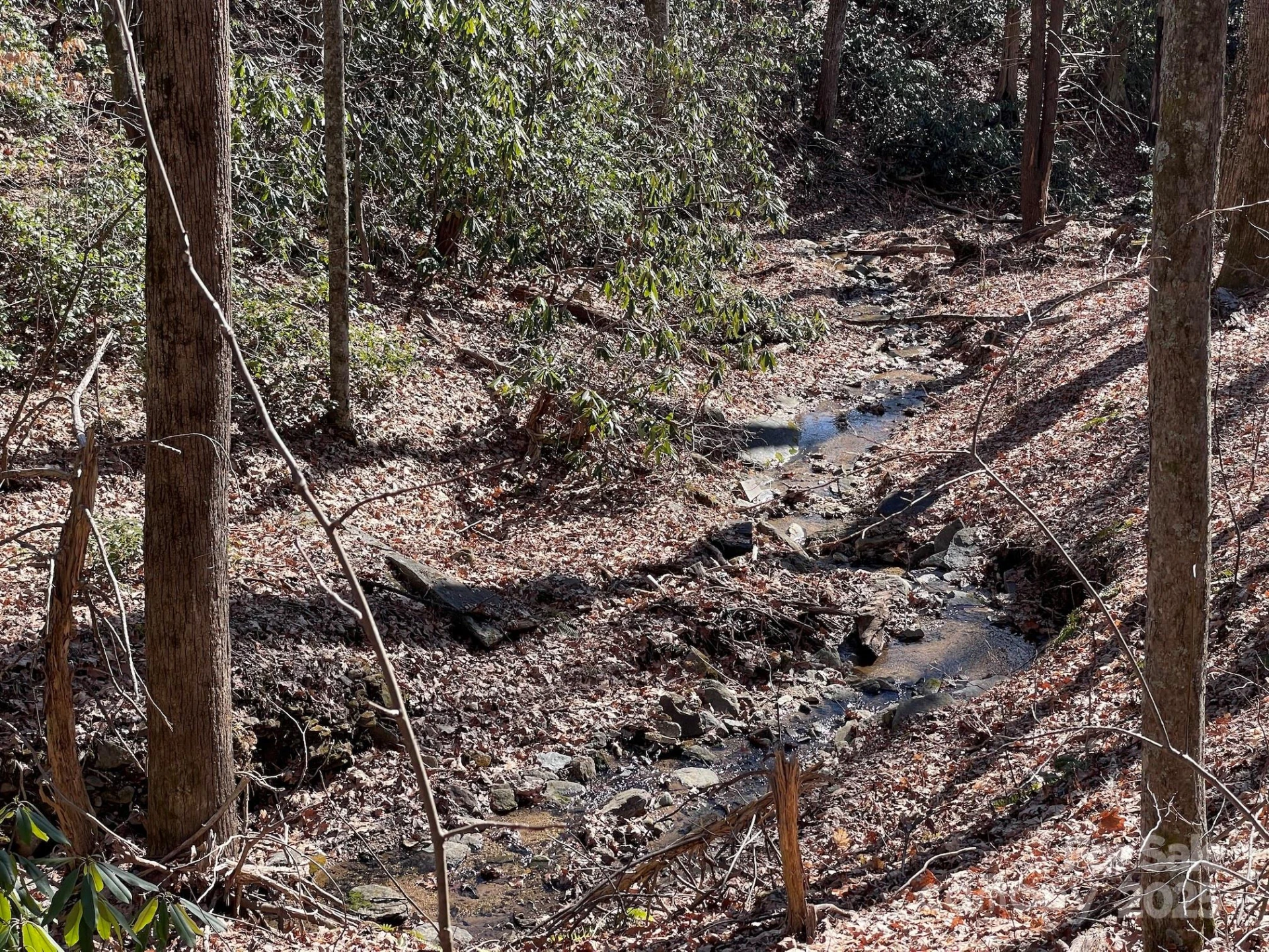 201 Ironwood Lane #T-100 - Photo 23
