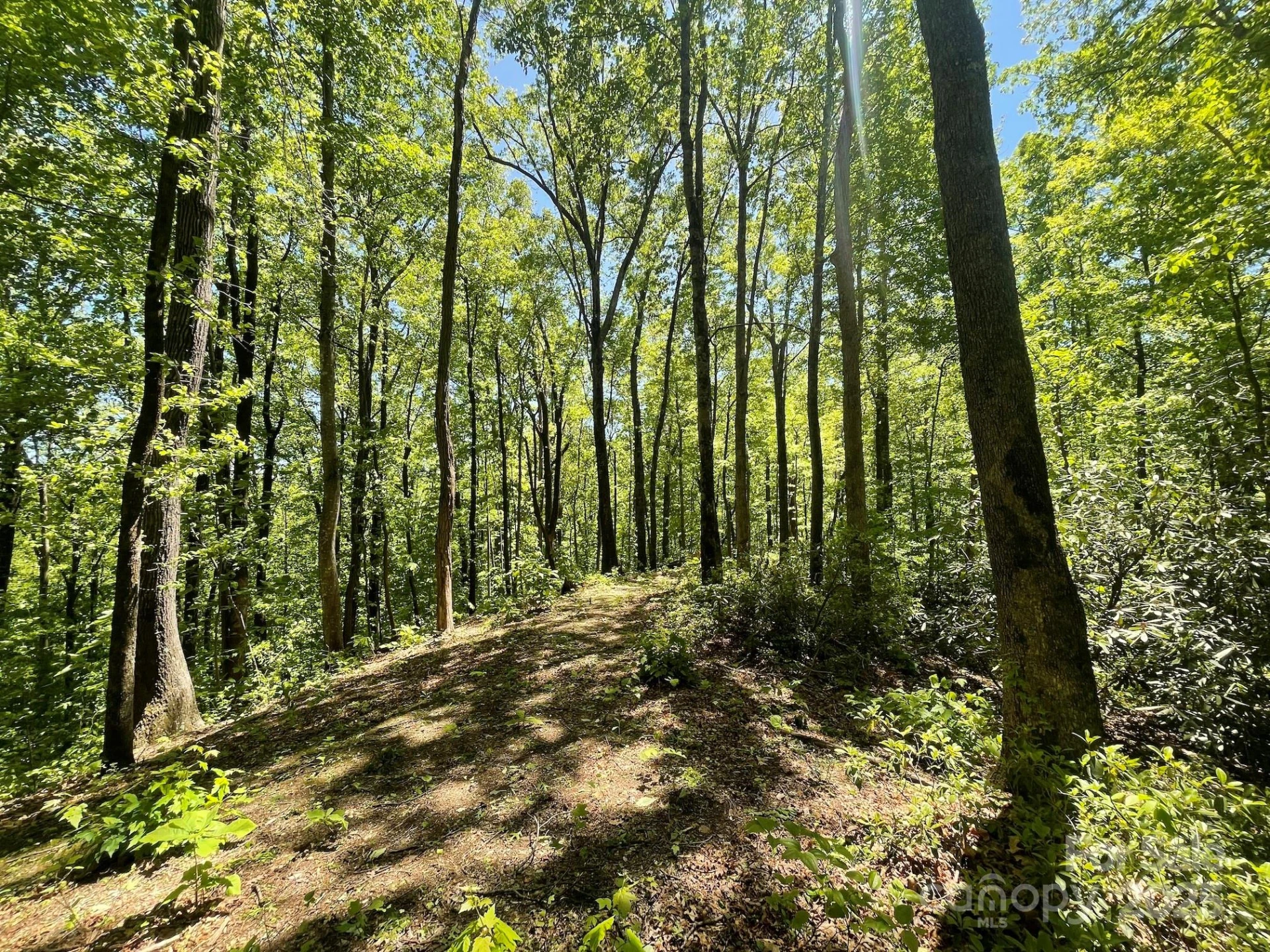 201 Ironwood Lane #T-100 - Photo 25